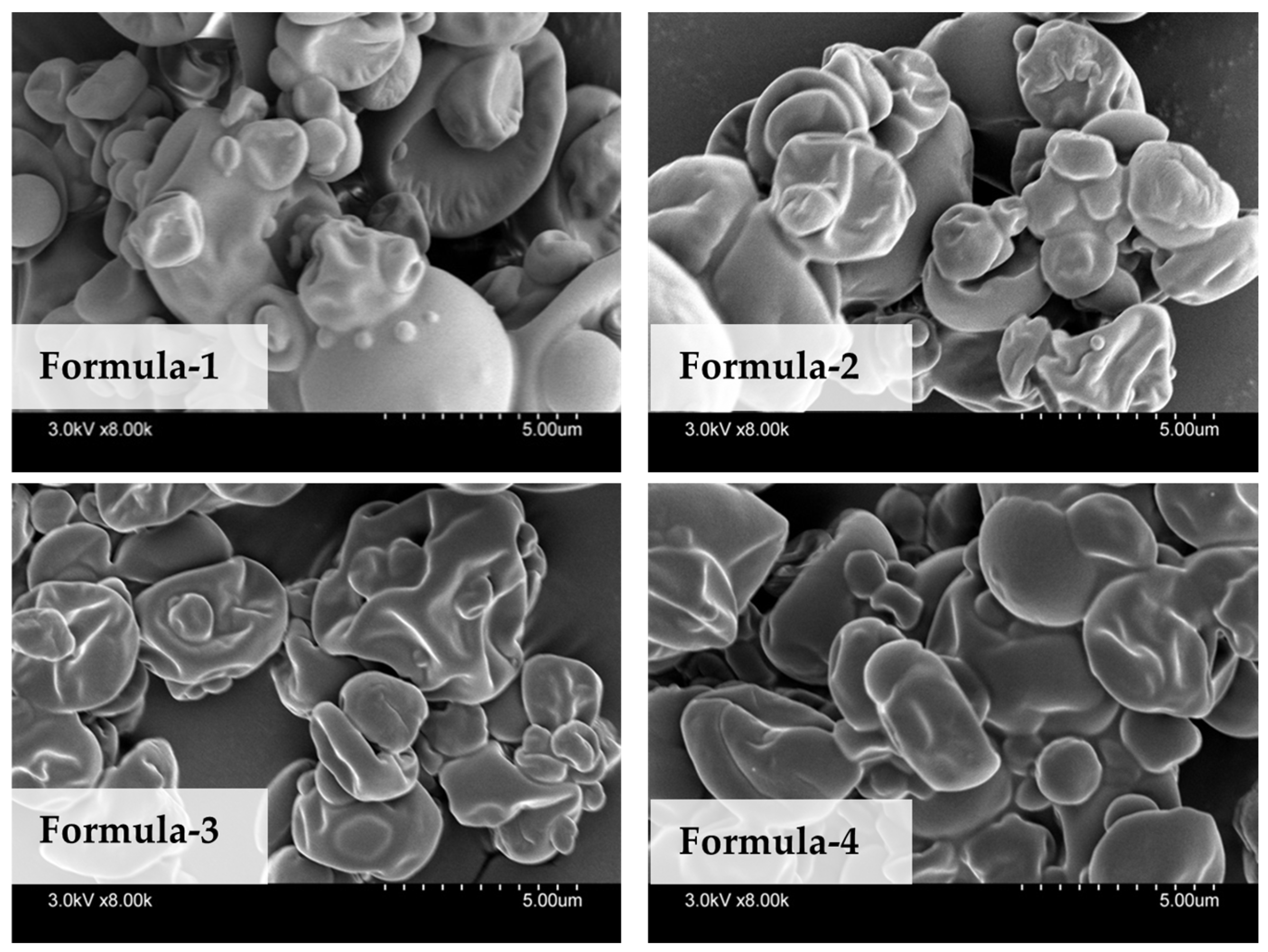 Sustainability 17 08152 g003