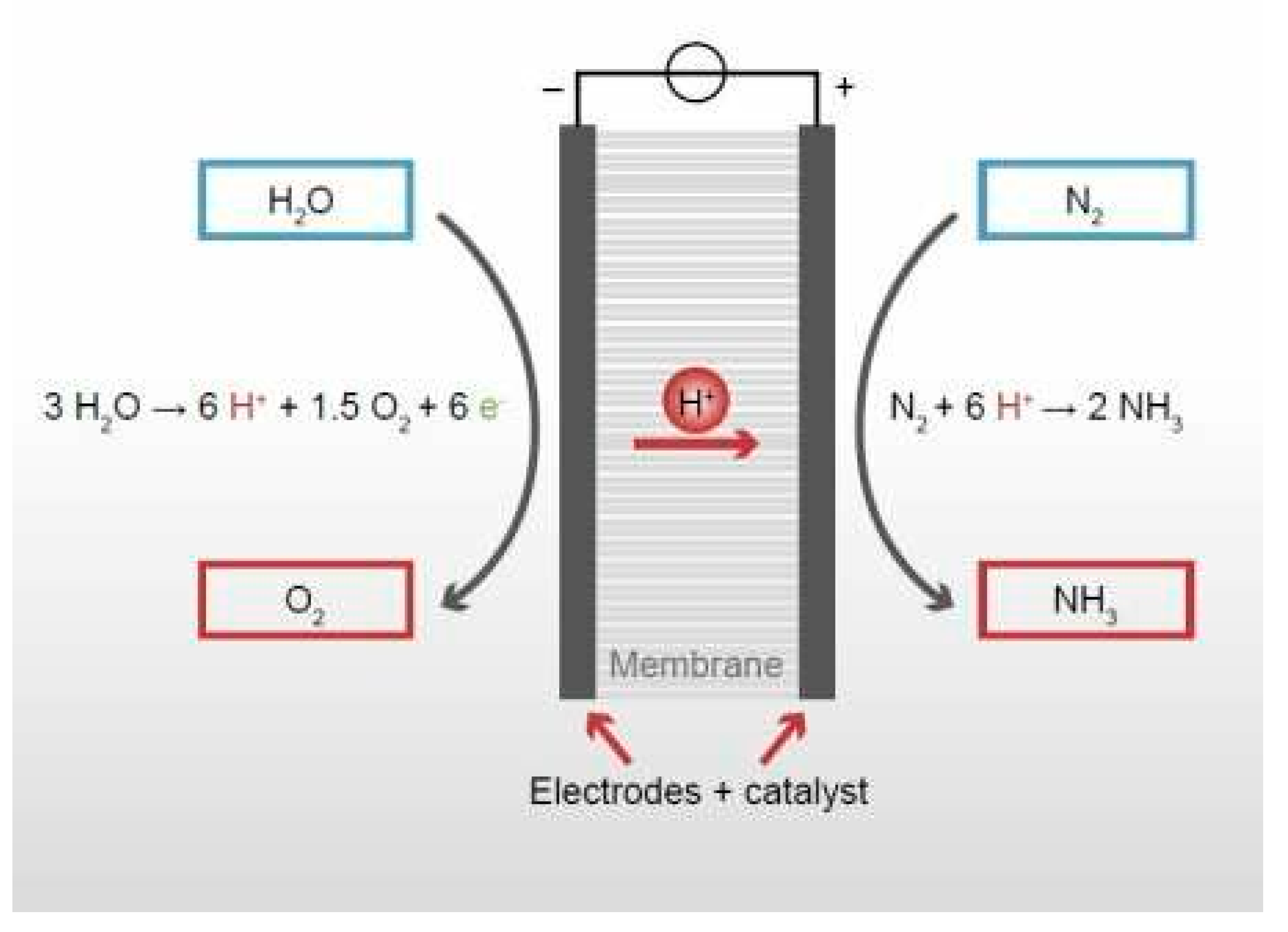 Sustainability 17 08172 g003 Sustainability 17 08172 g003