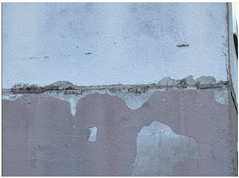 Sustainability 17 08176 i018