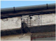 Sustainability 17 08176 i021