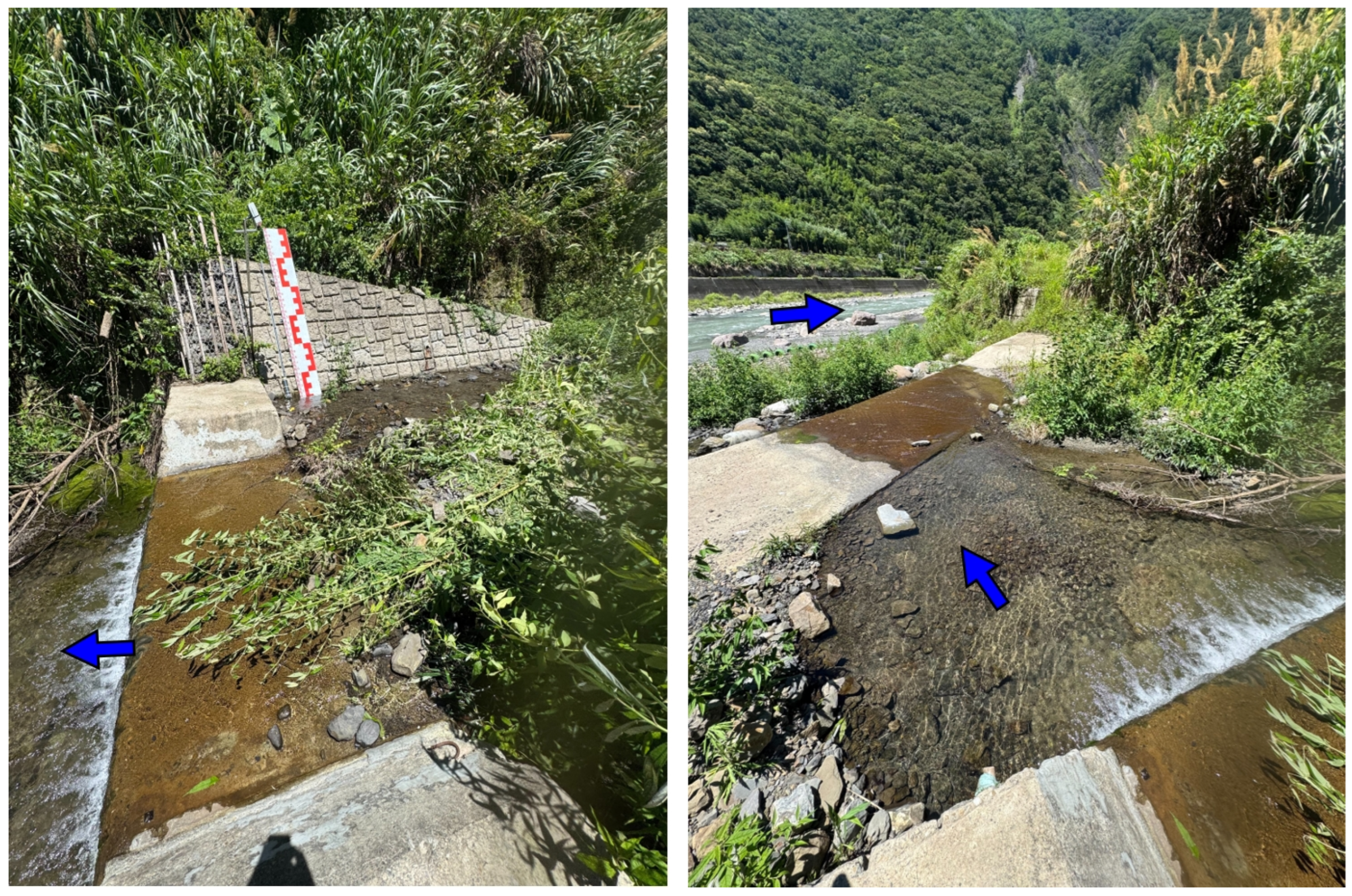 Sustainability 17 08181 g004