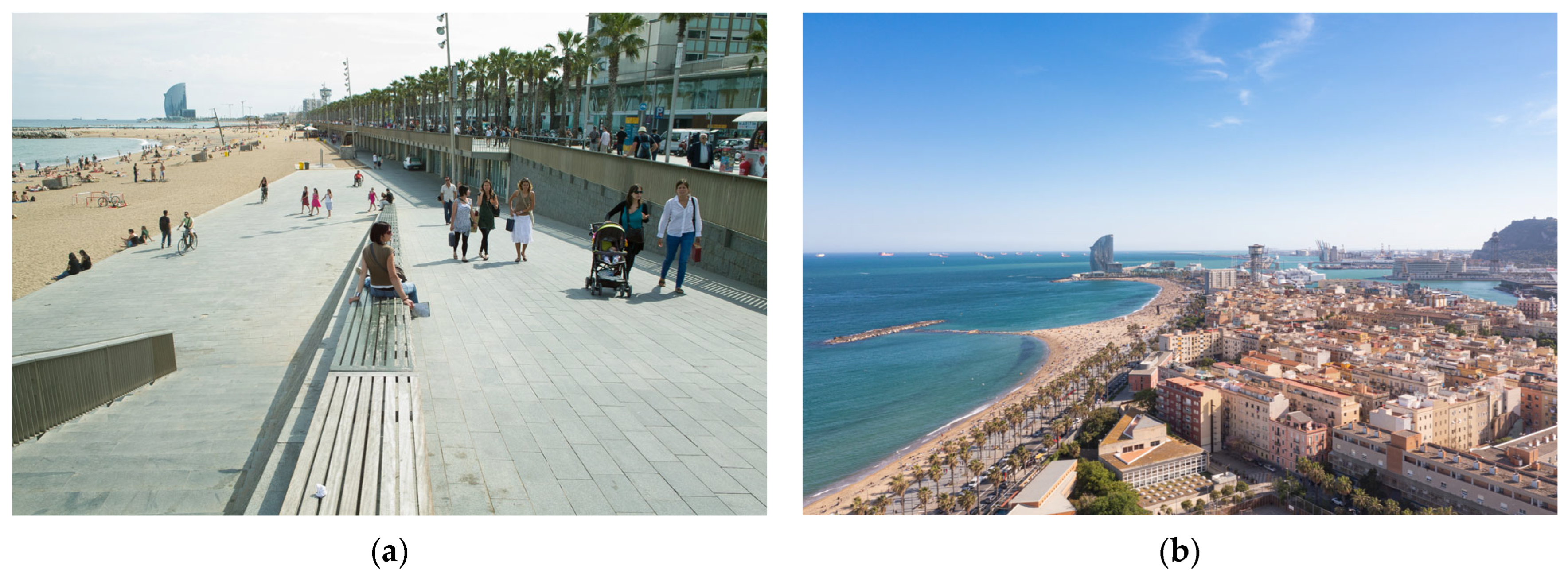 Sustainability 17 08239 g004 Sustainability 17 08239 g004