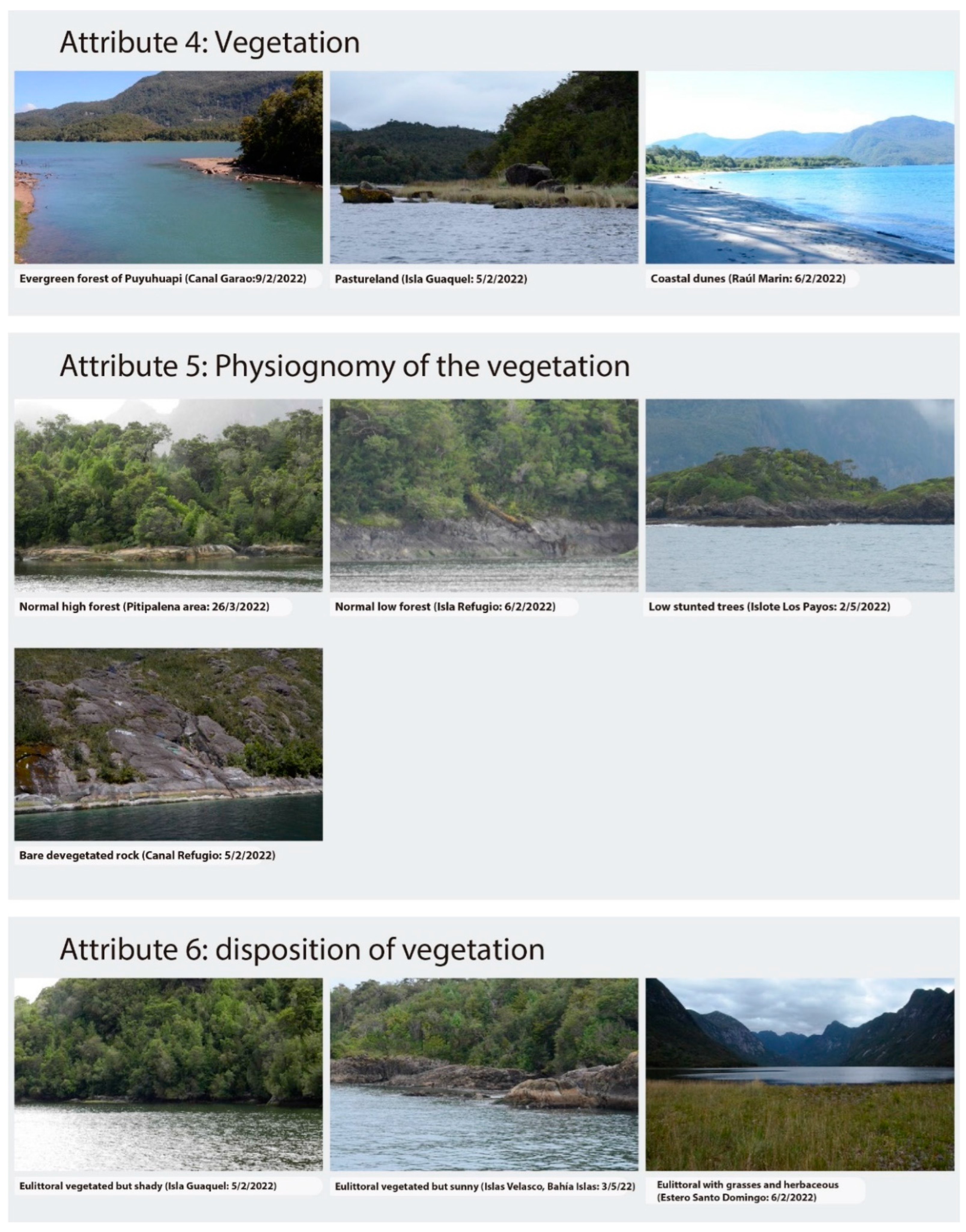 Sustainability 17 08290 g004