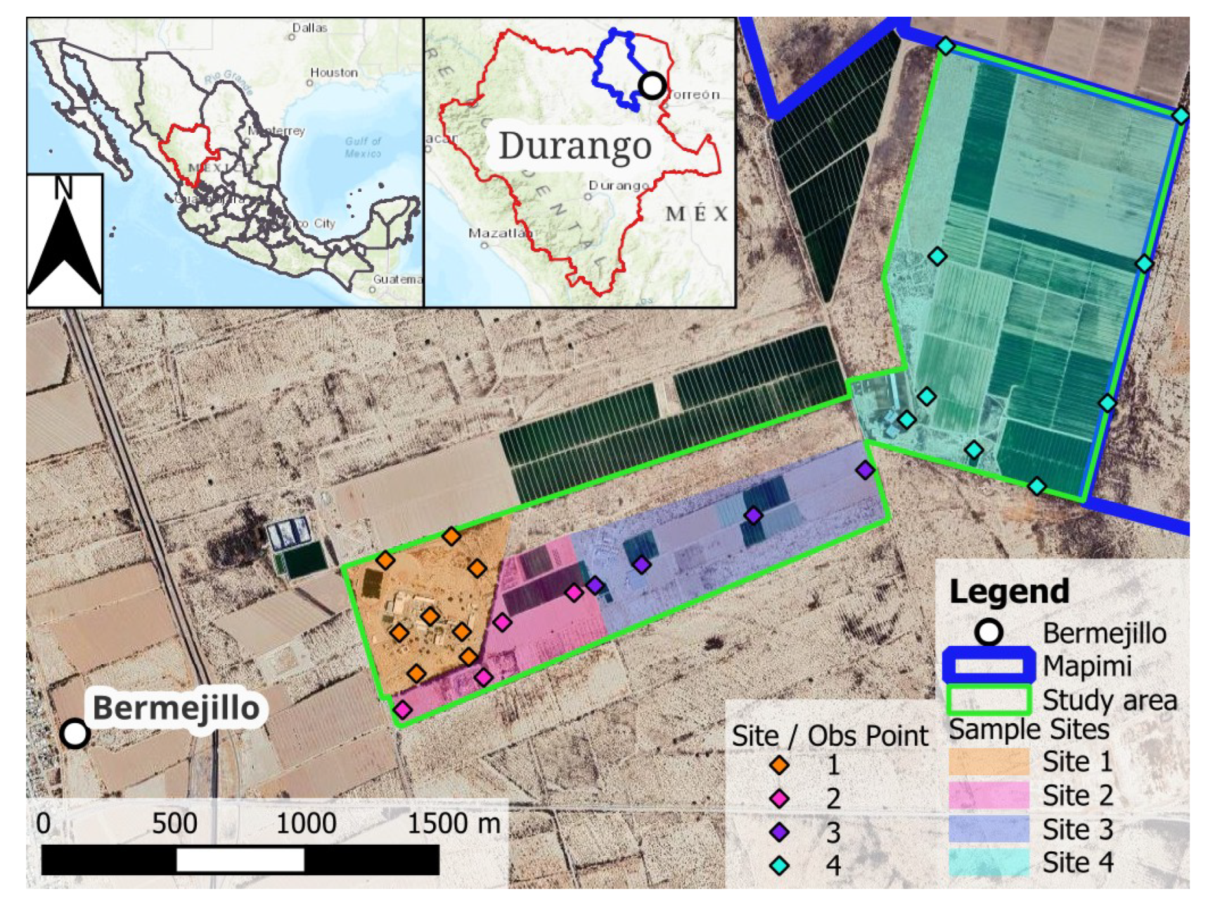 Sustainability 17 08294 g001