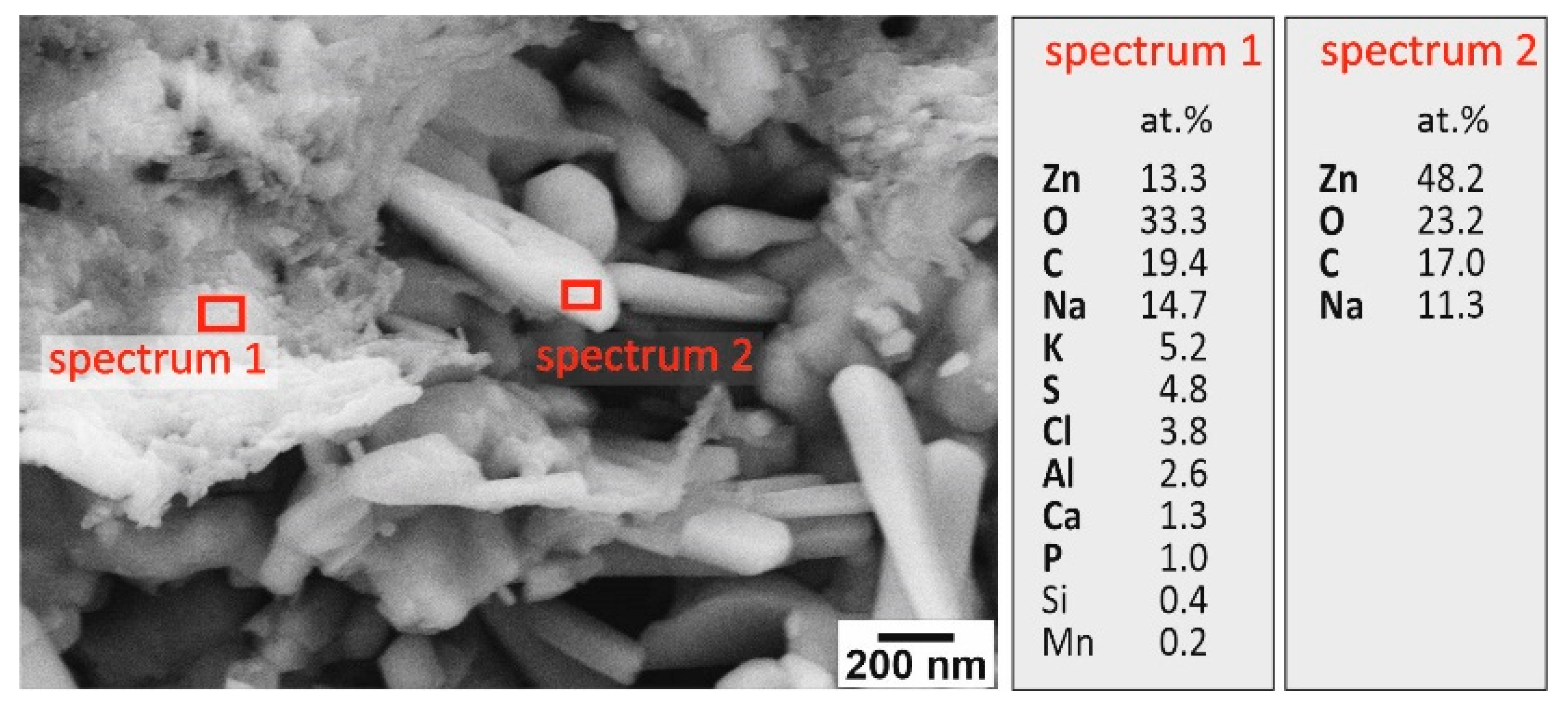 Sustainability 17 08373 g004 Sustainability 17 08373 g004
