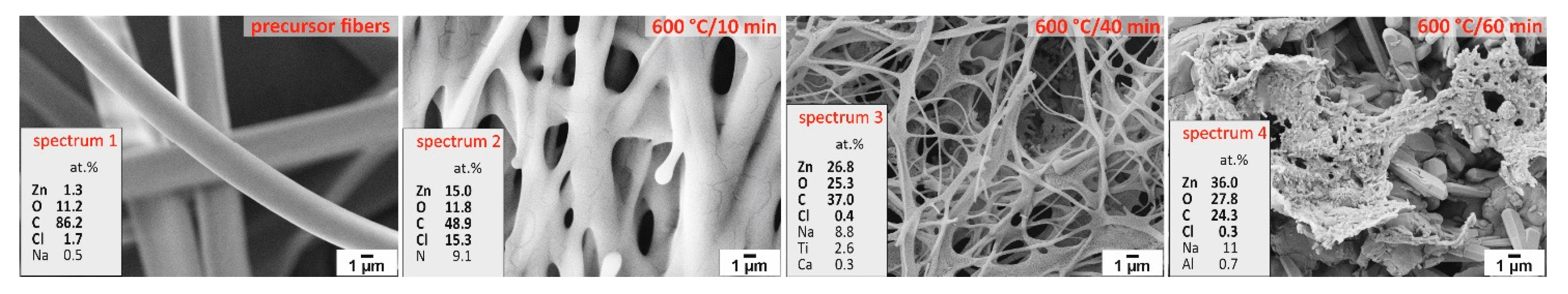 Sustainability 17 08373 g005 Sustainability 17 08373 g005