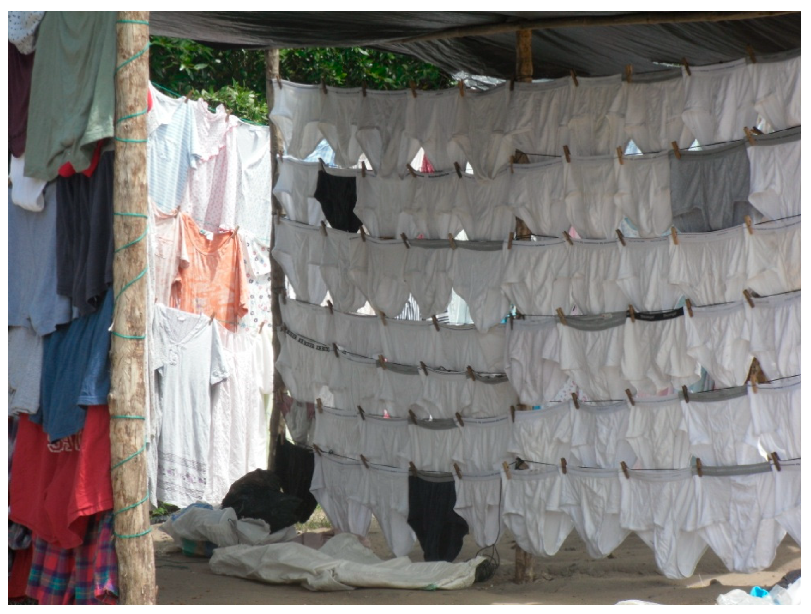 Sustainability 17 08397 g002