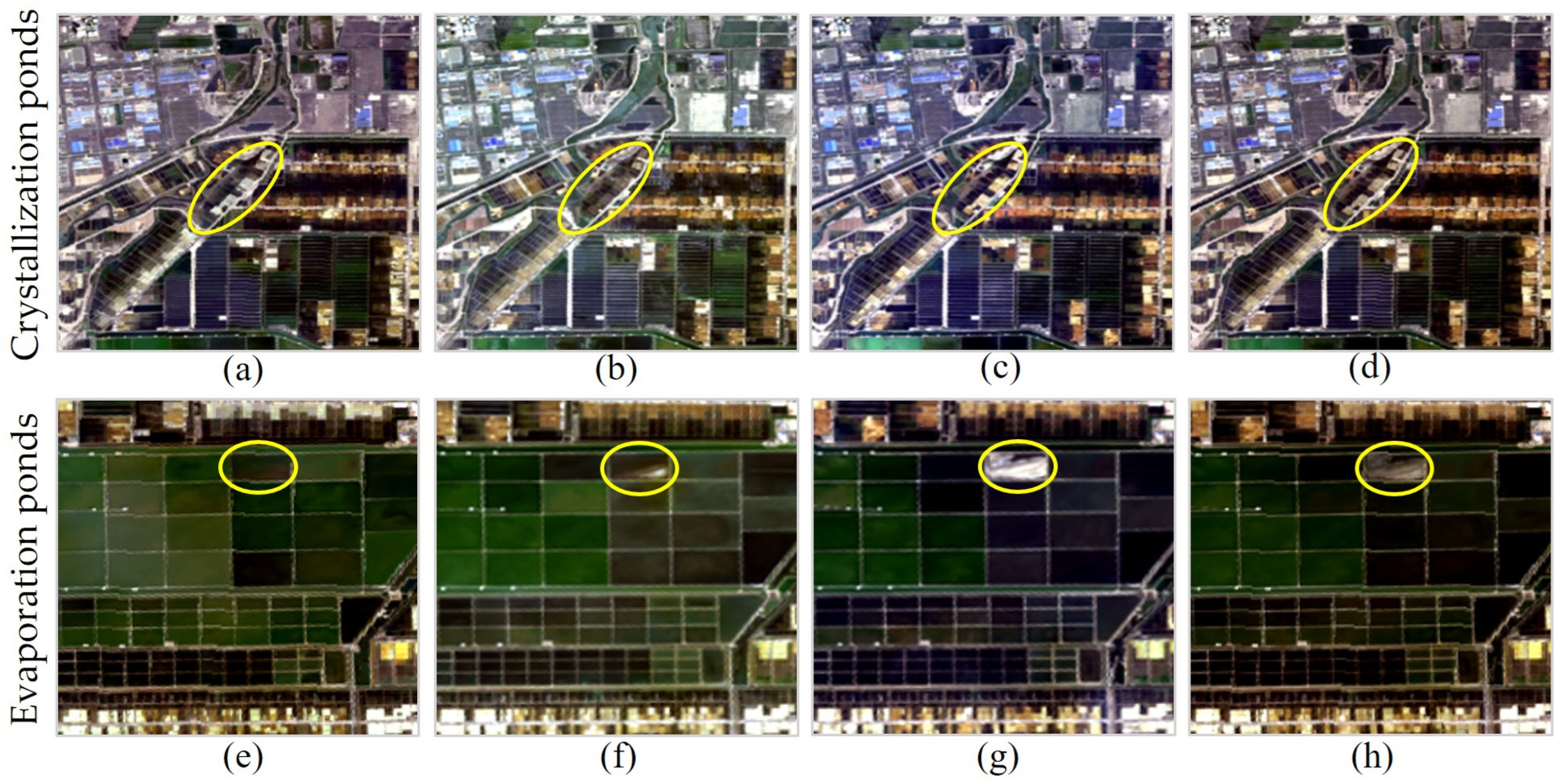 Sustainability 17 08436 g006 Sustainability 17 08436 g006