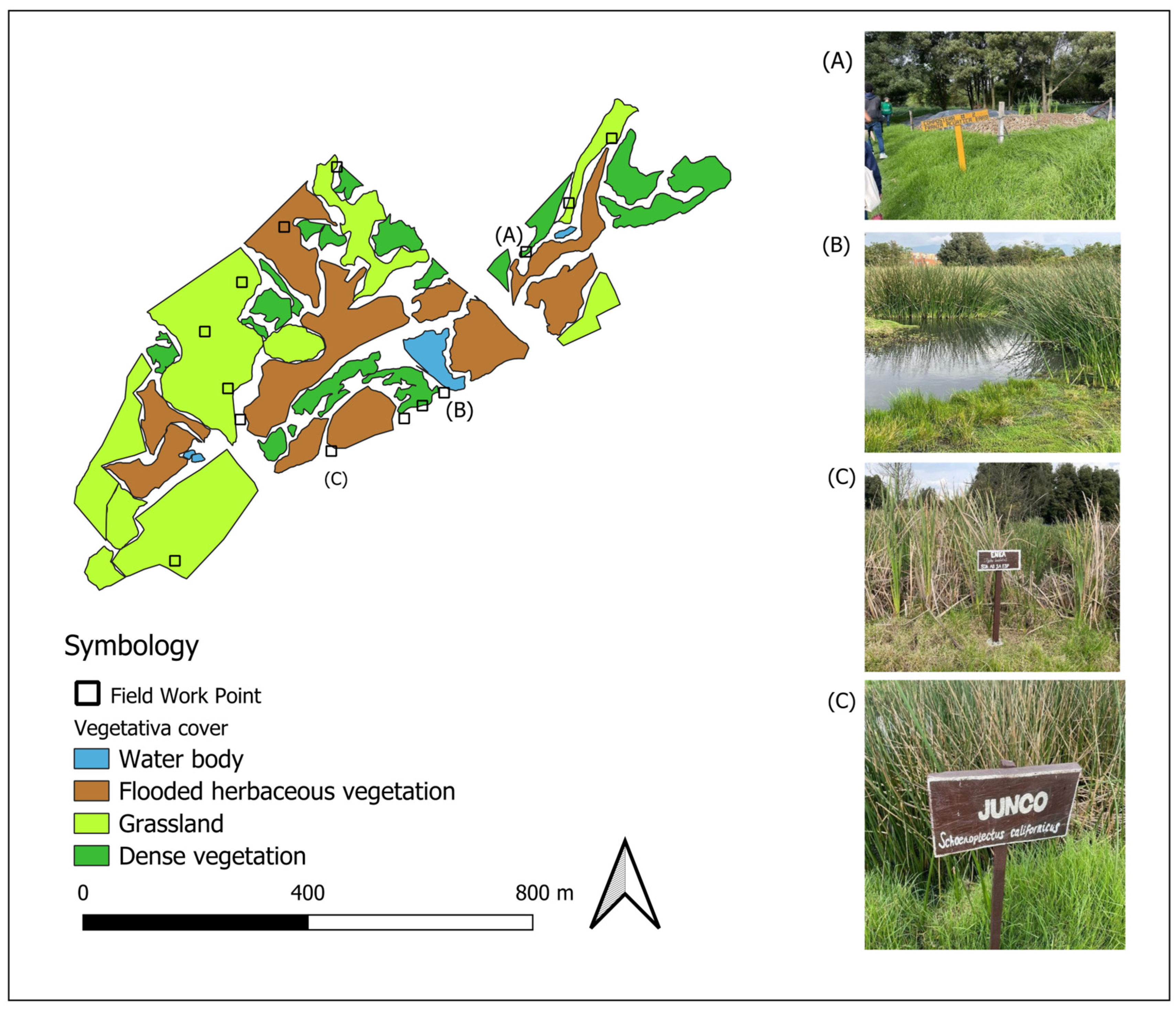 Sustainability 17 08462 g003