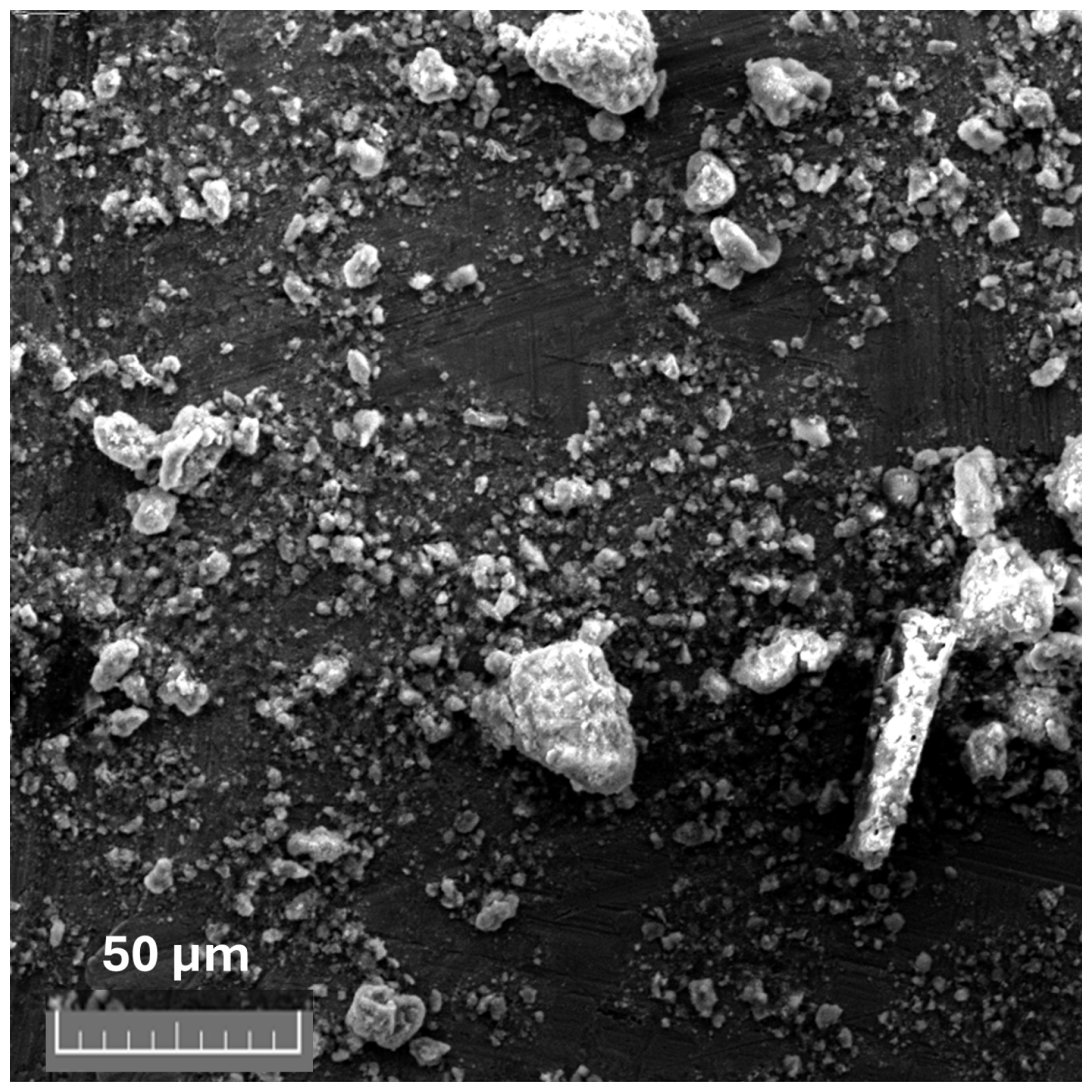 Sustainability 17 08491 g002 Sustainability 17 08491 g002