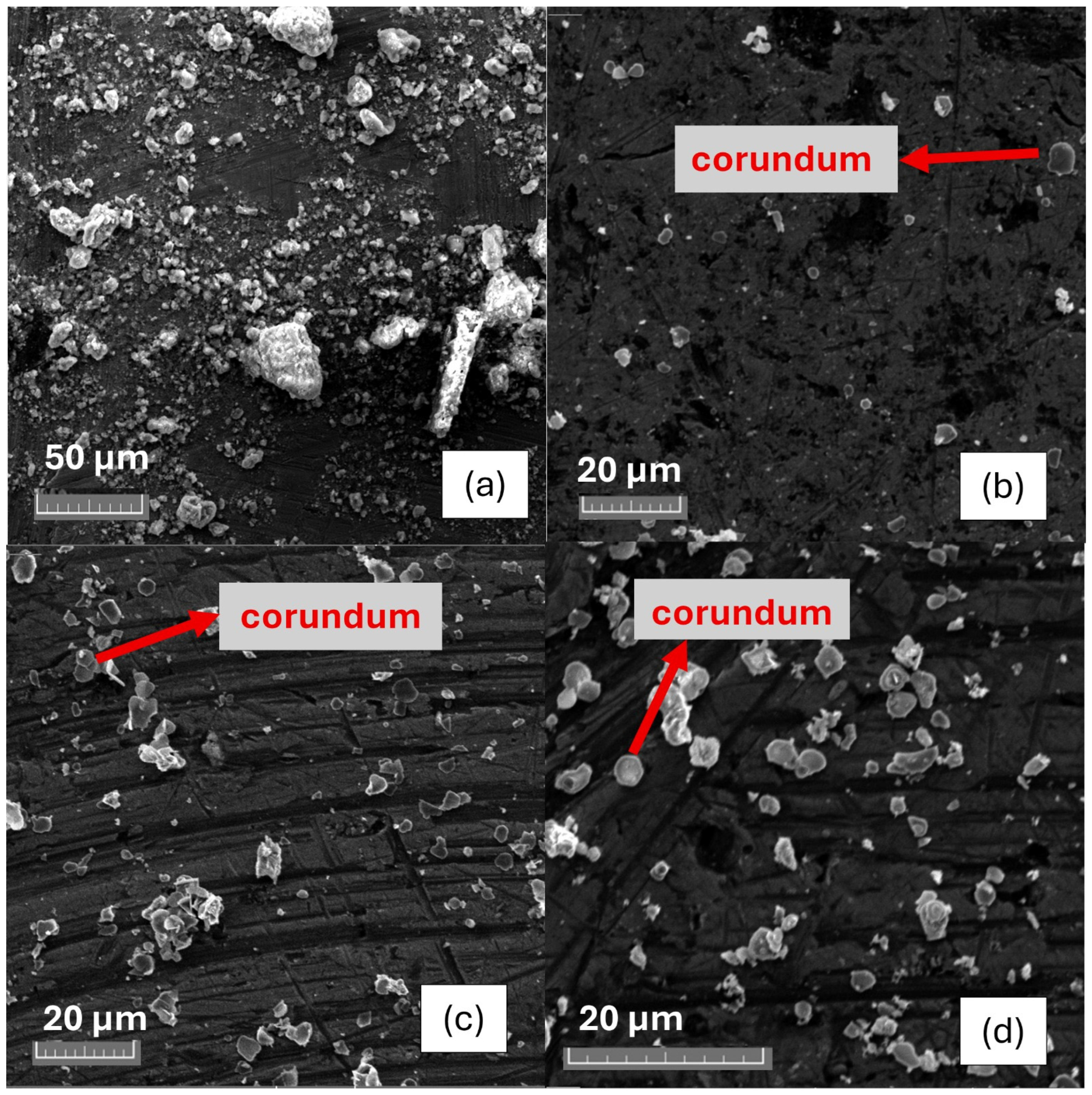 Sustainability 17 08491 g007 Sustainability 17 08491 g007