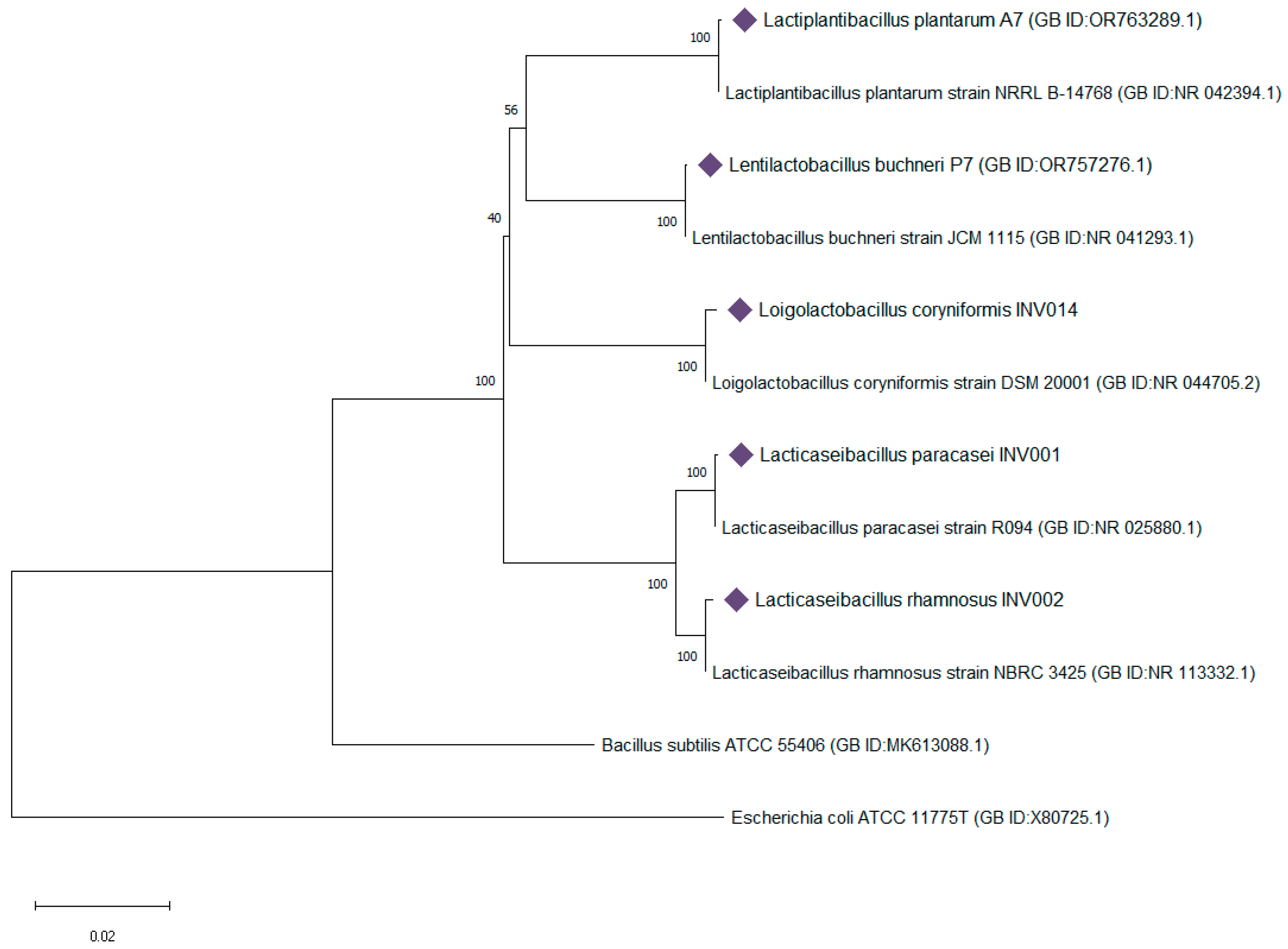 Sustainability 17 08502 g003 Sustainability 17 08502 g003