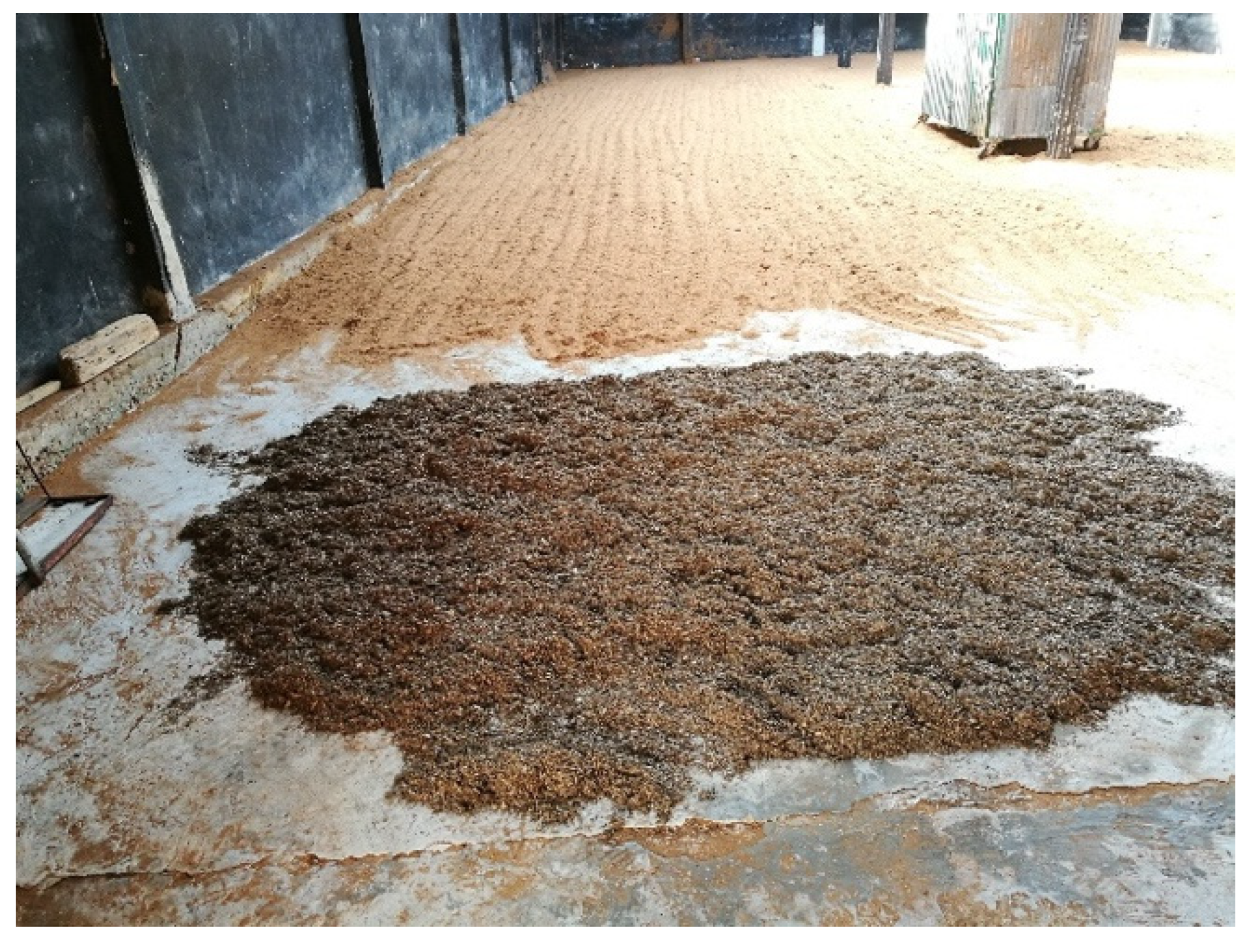 Sustainability 17 08511 g001 Sustainability 17 08511 g001