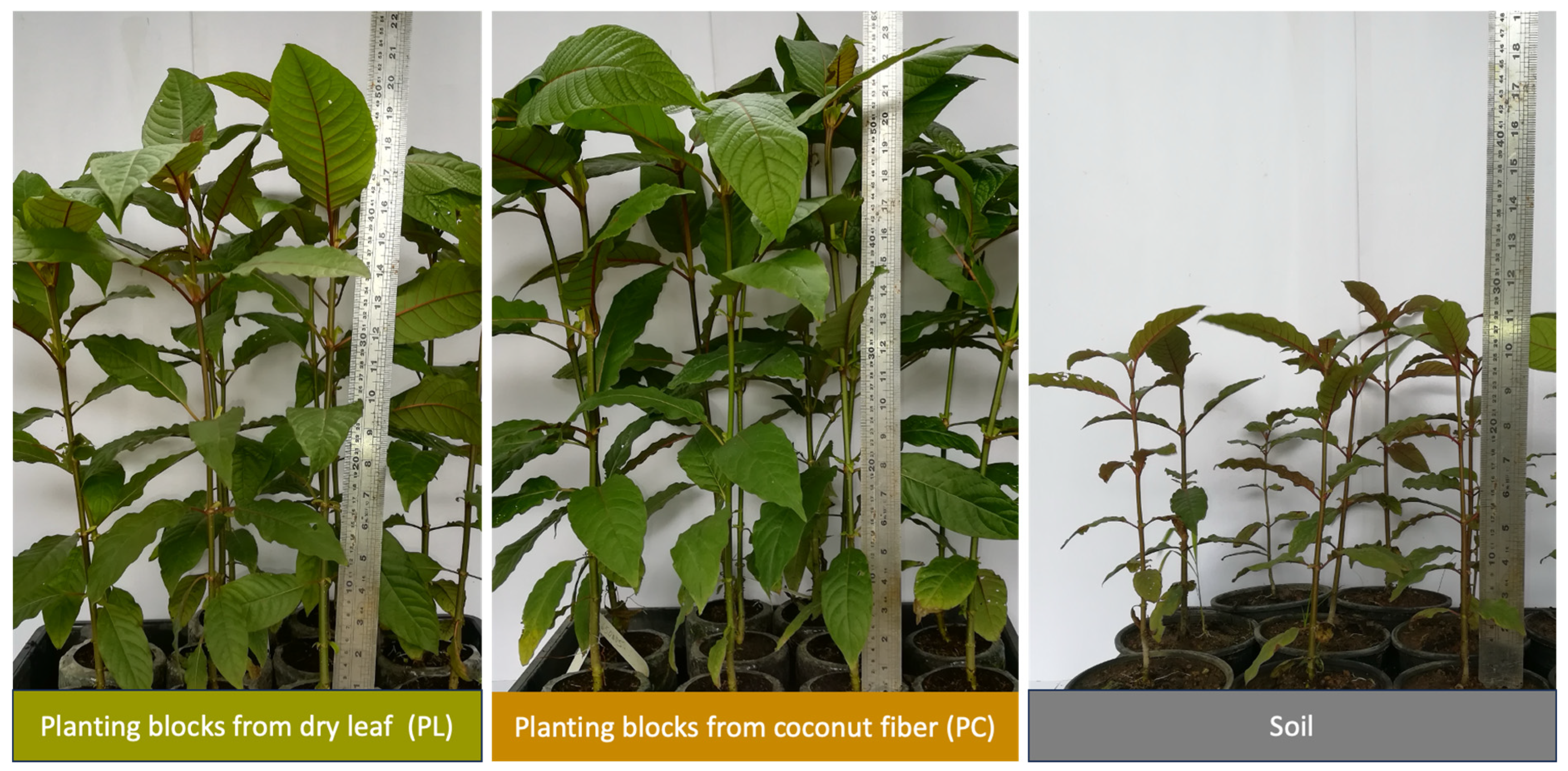Sustainability 17 08511 g003 Sustainability 17 08511 g003
