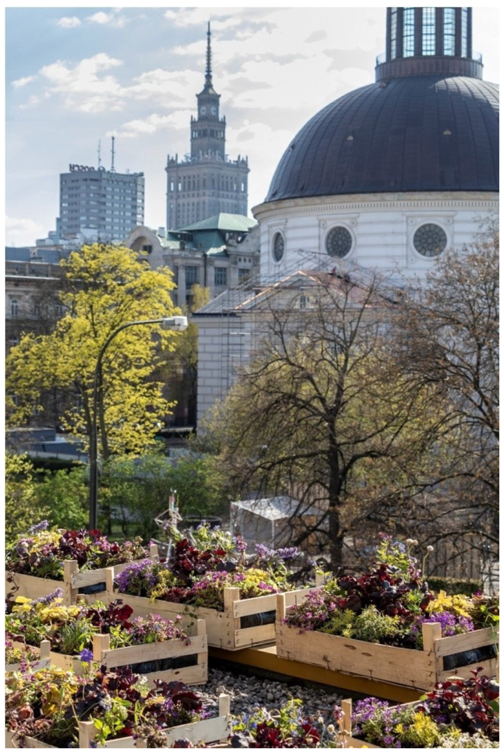 Sustainability 17 08554 g004