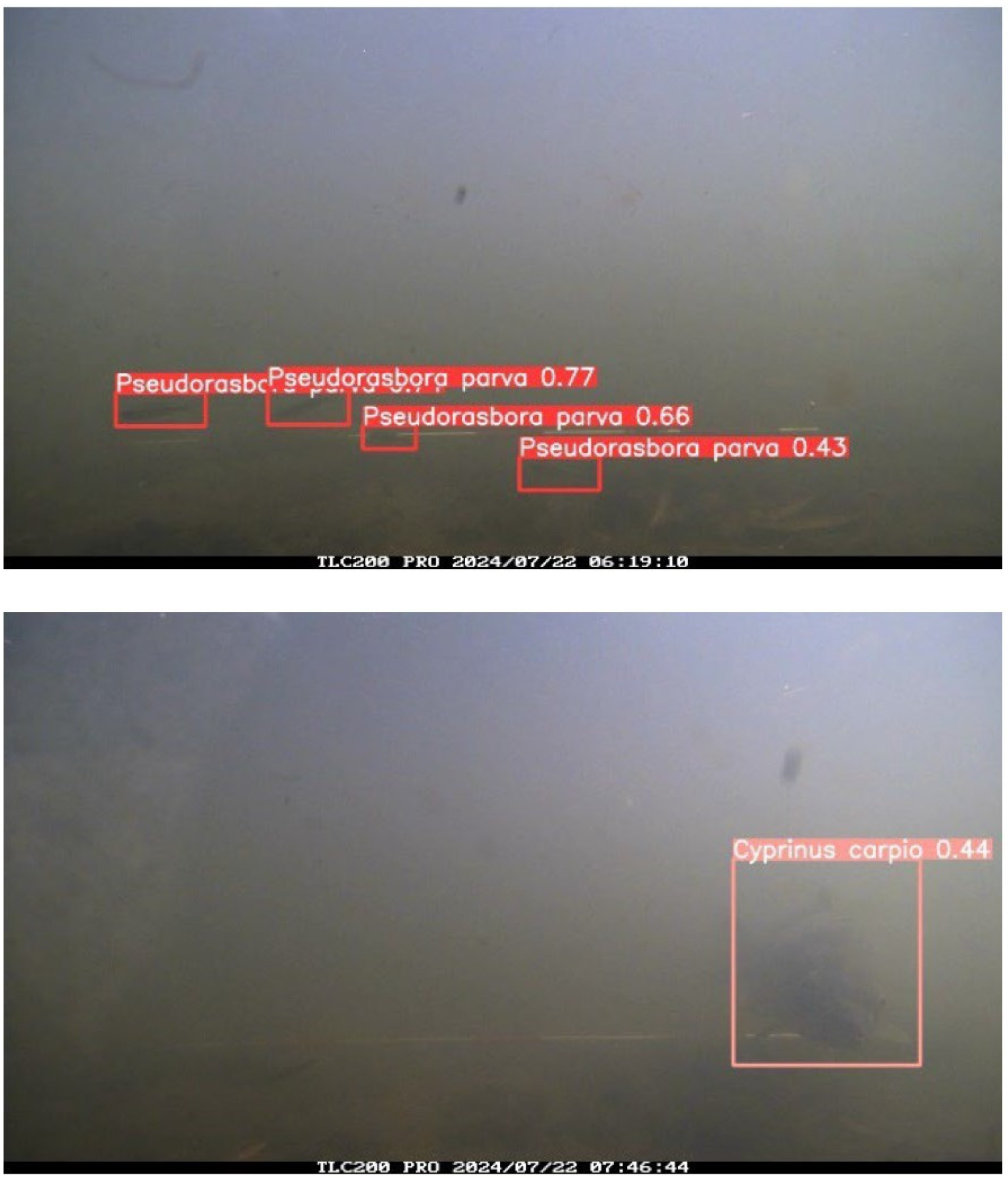 Sustainability 17 08578 g004