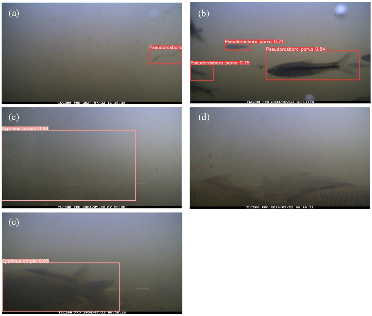 Sustainability 17 08578 g005