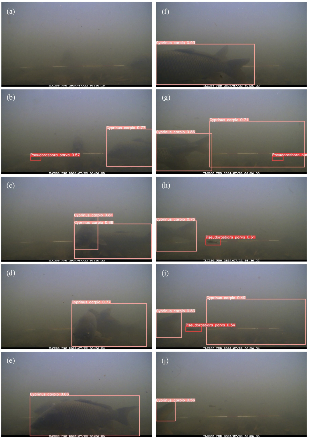 Sustainability 17 08578 g008