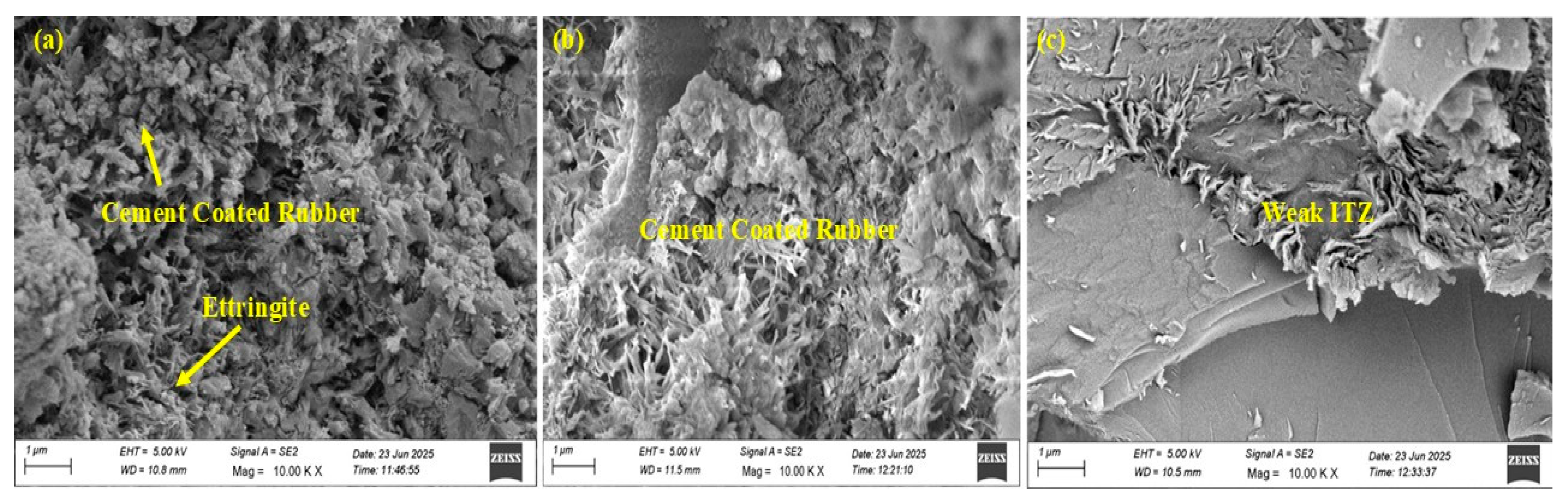 Sustainability 17 08599 g017