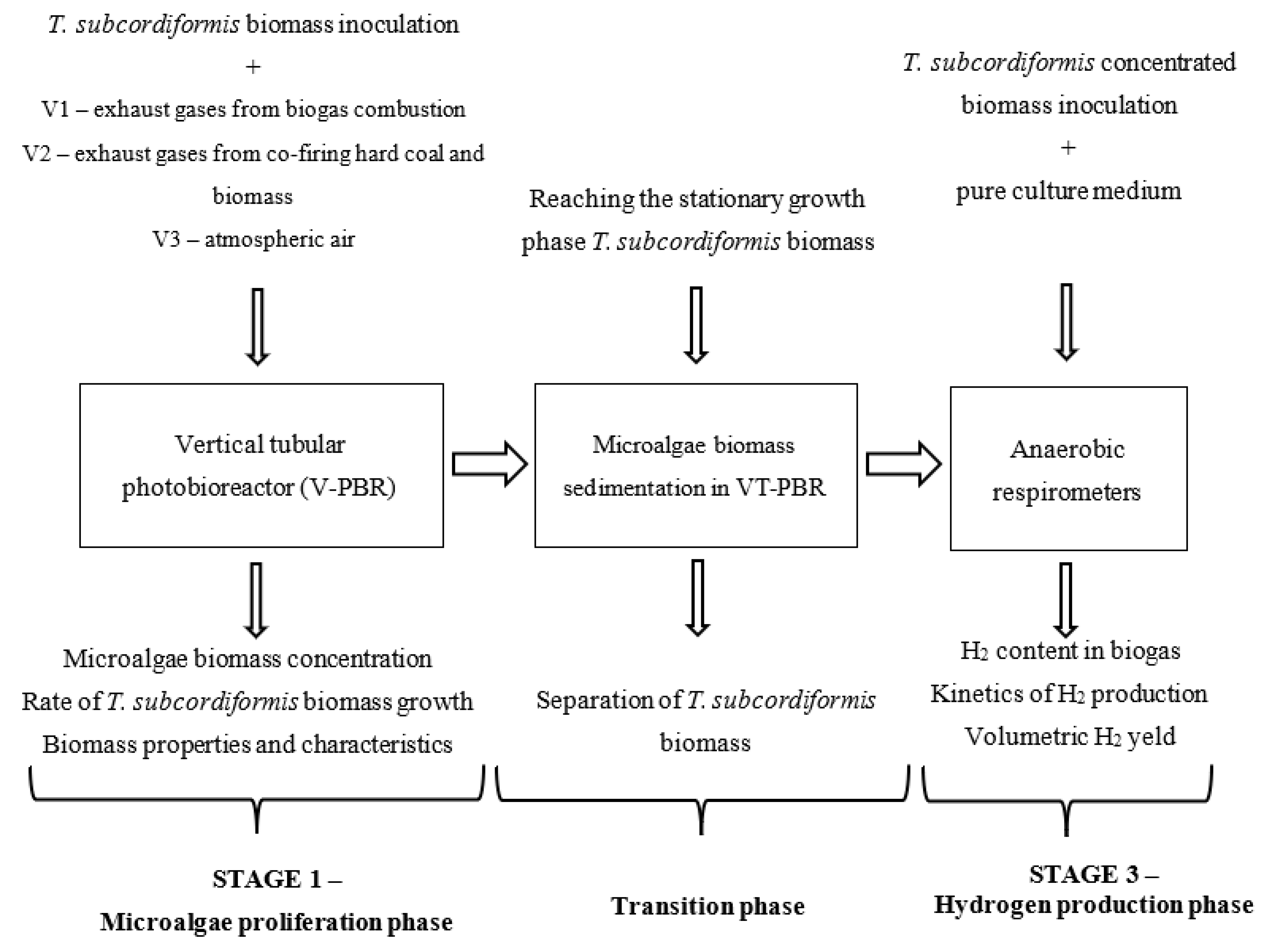 Sustainability 17 08612 g001