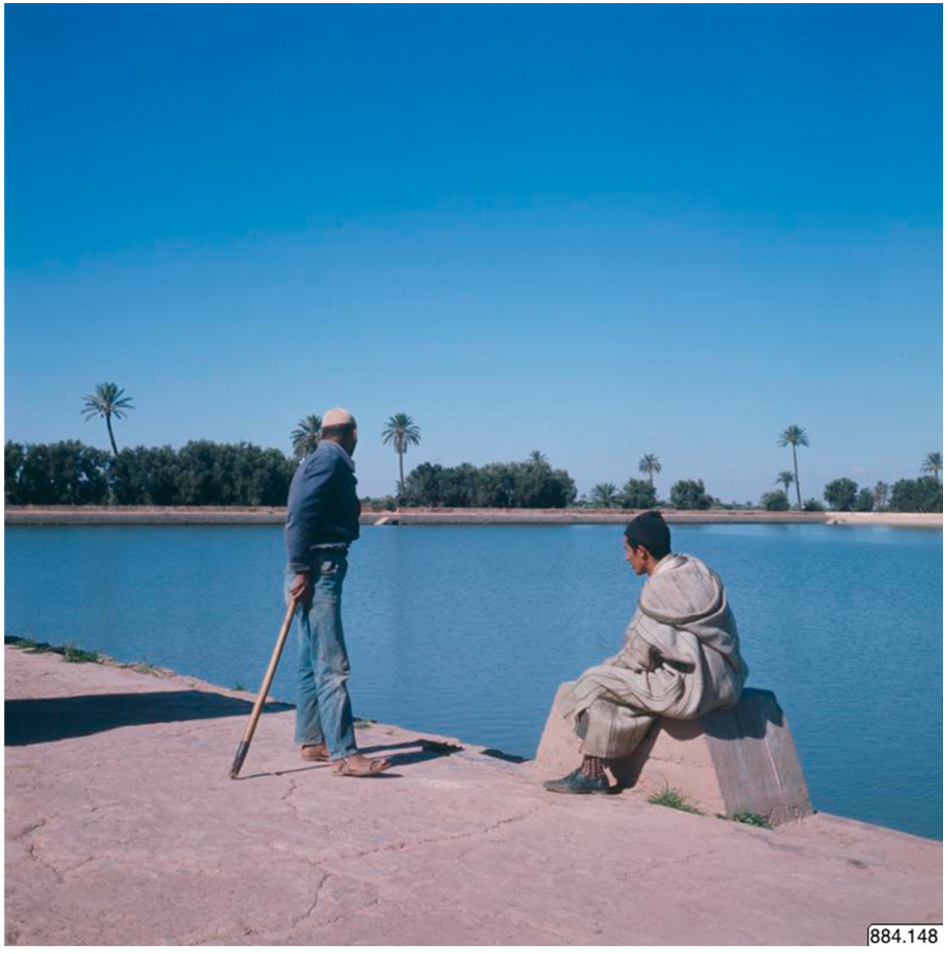 Sustainability 17 08656 g001