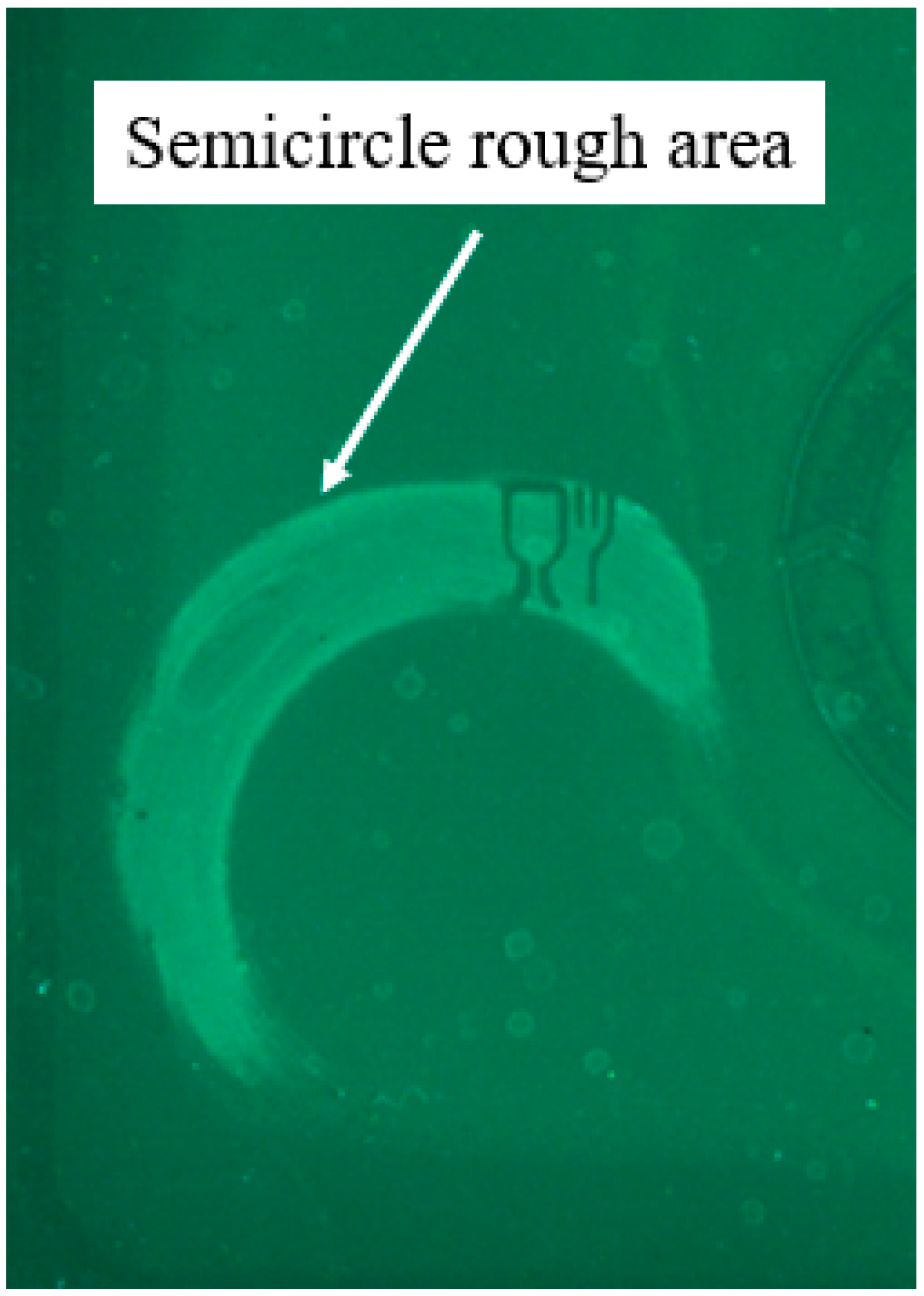 Sustainability 17 08695 g004