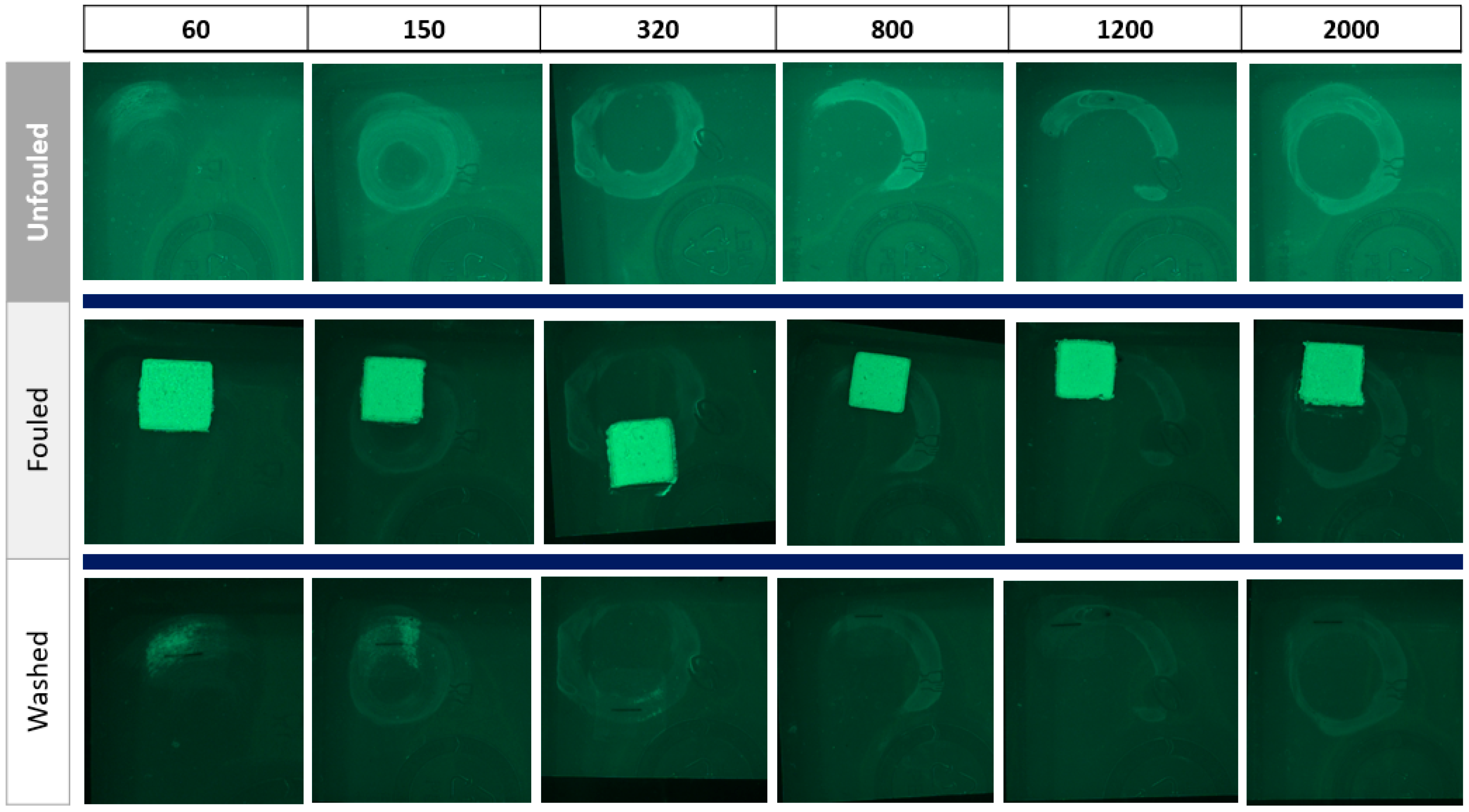 Sustainability 17 08695 g007