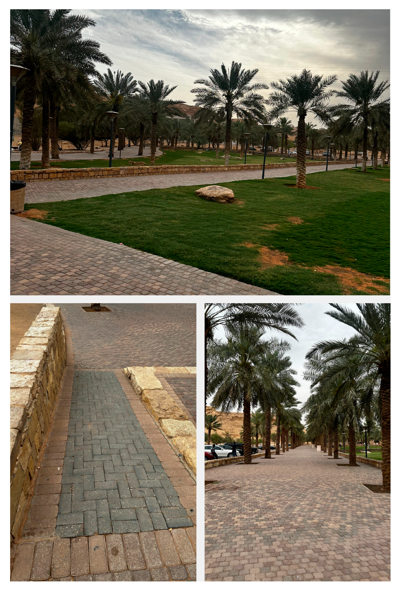 Sustainability 17 08701 g014