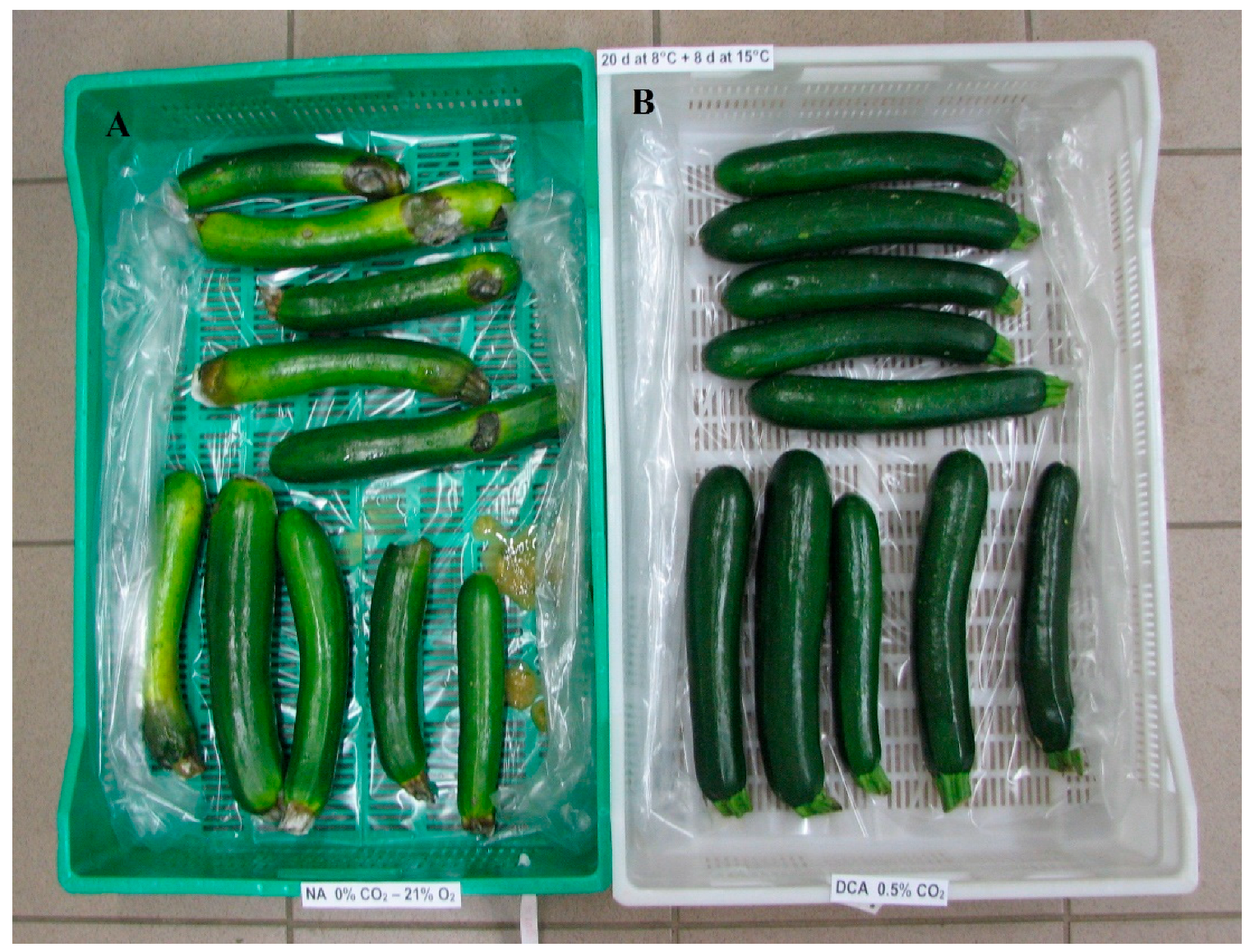 Sustainability 17 08781 g002