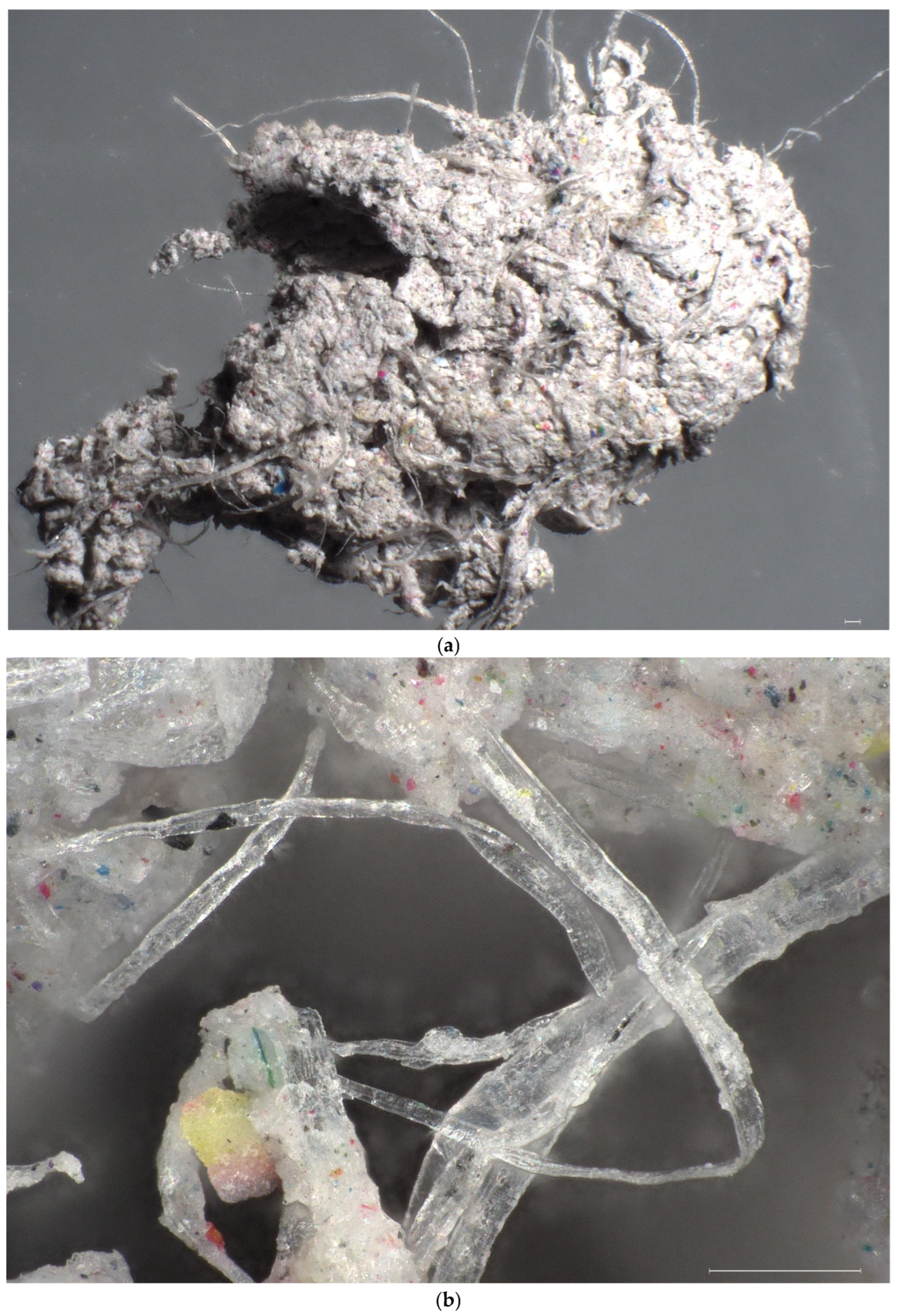 Sustainability 17 08788 g001