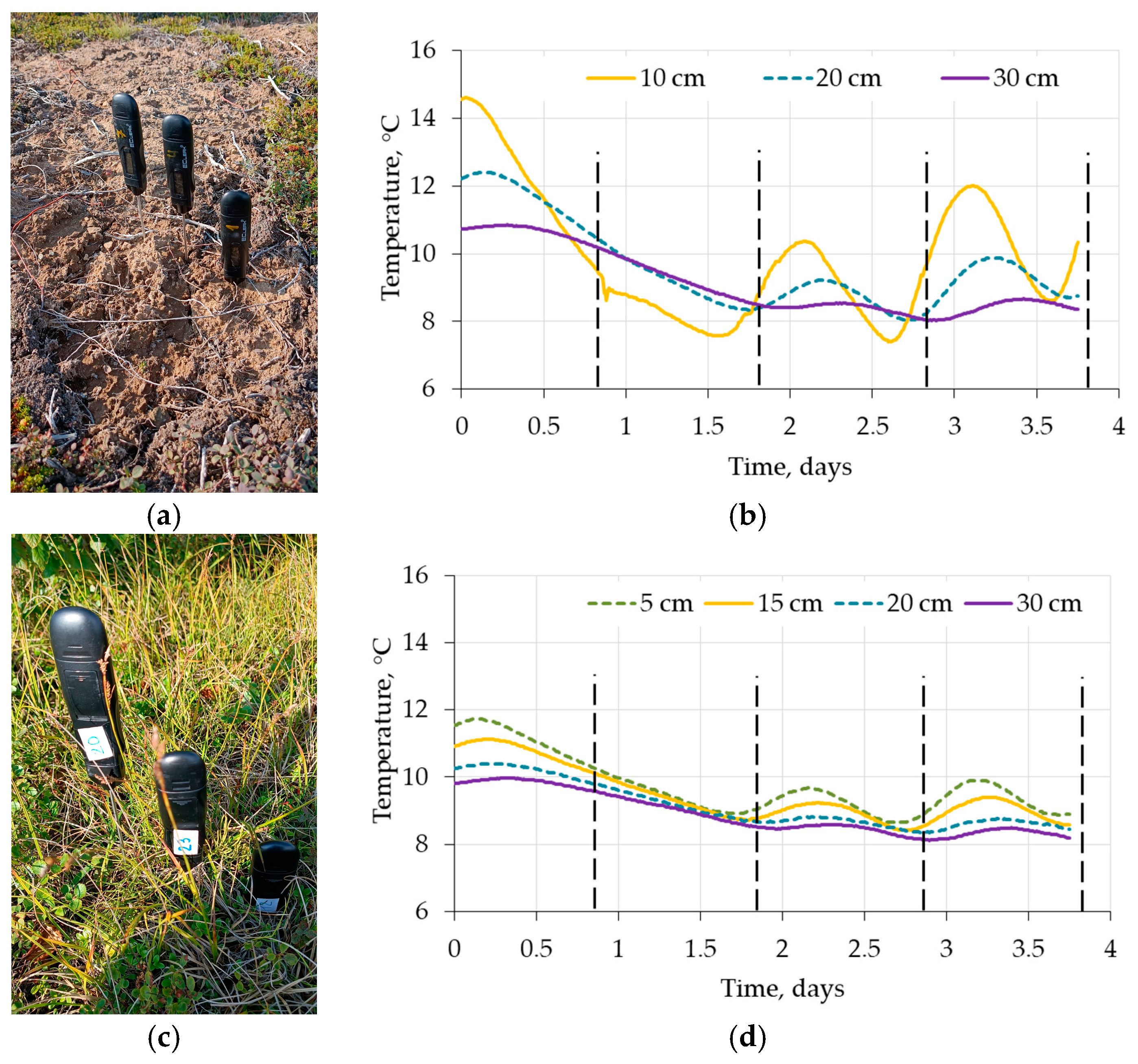 Sustainability 17 08892 g007