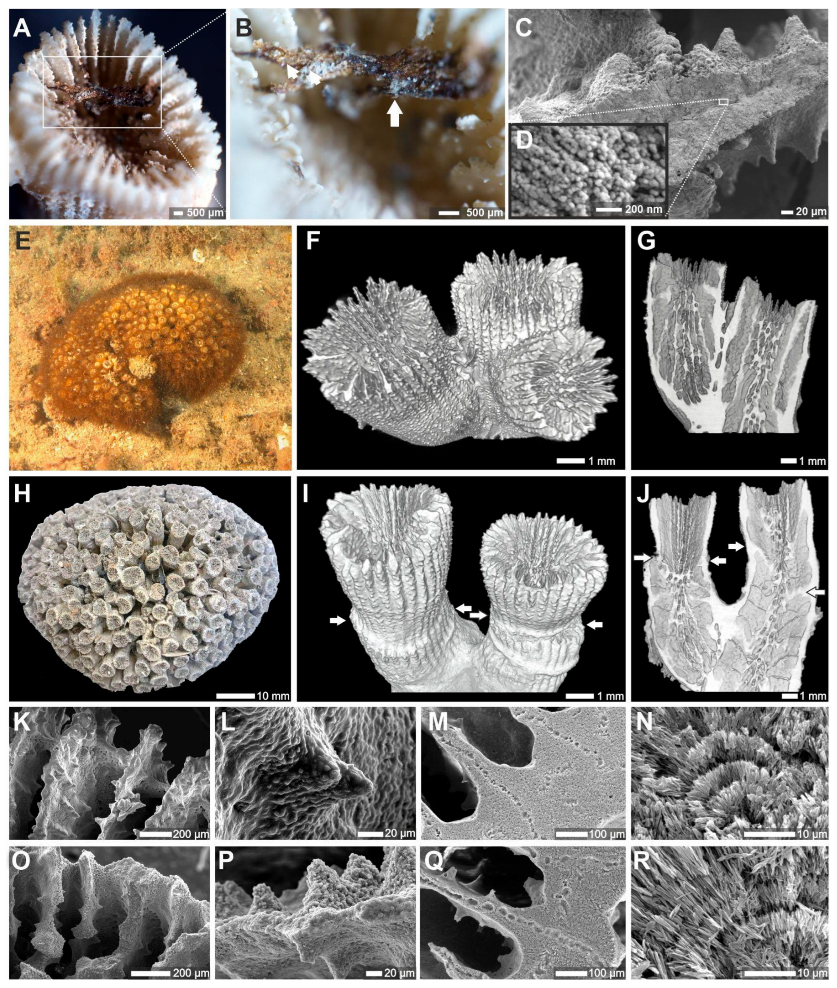 Sustainability 17 08893 g002 Sustainability 17 08893 g002
