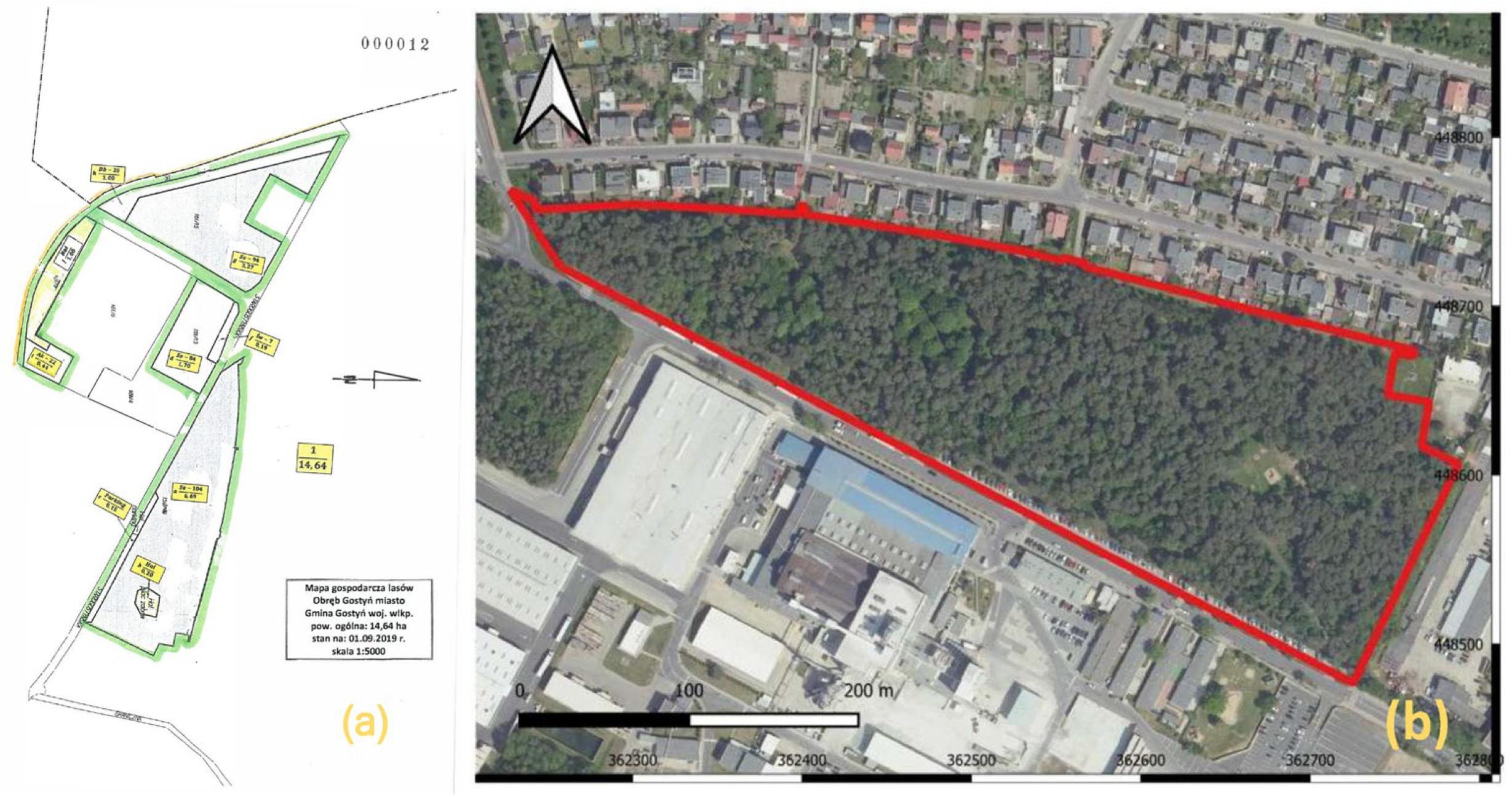 Sustainability 17 08908 g001