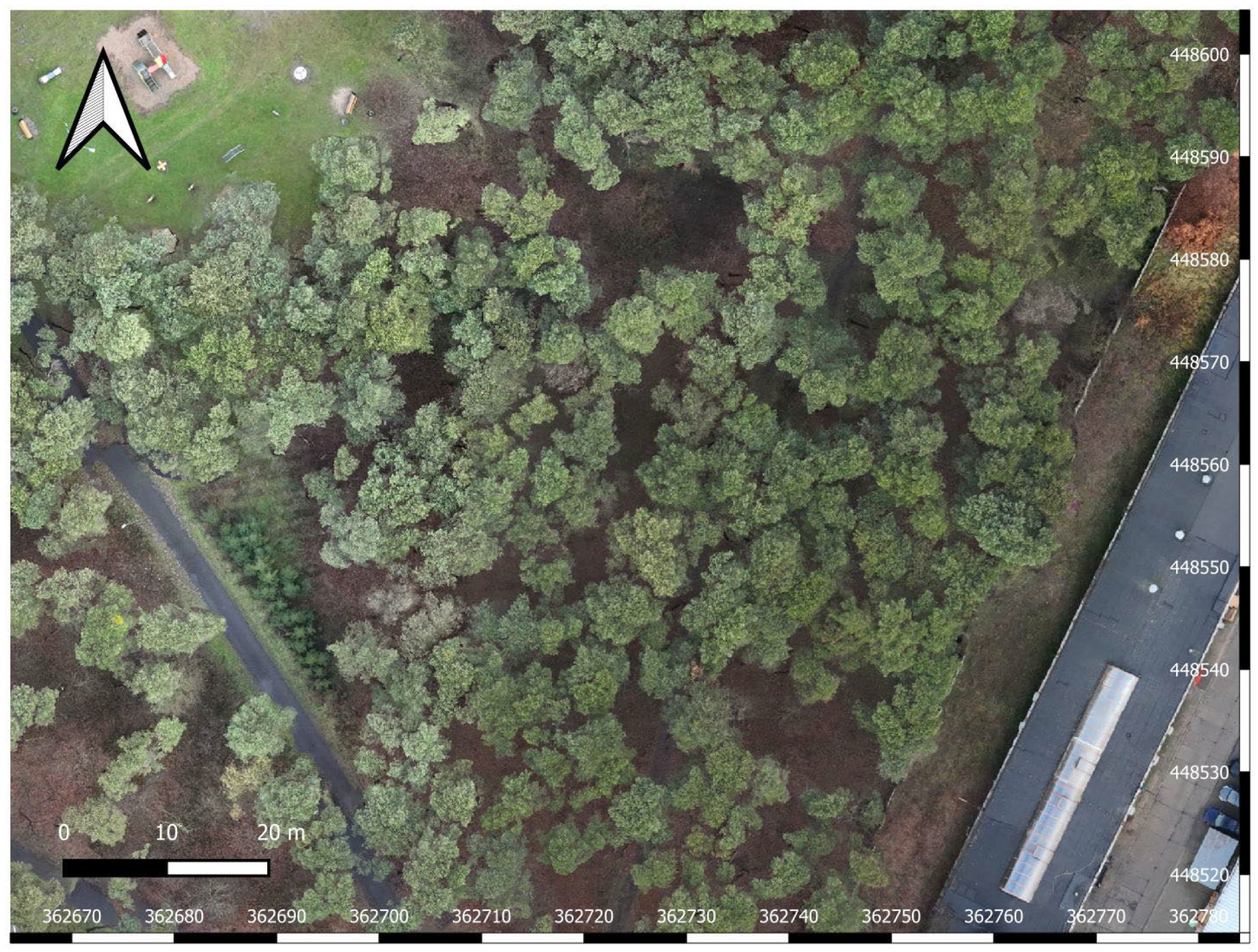 Sustainability 17 08908 g006