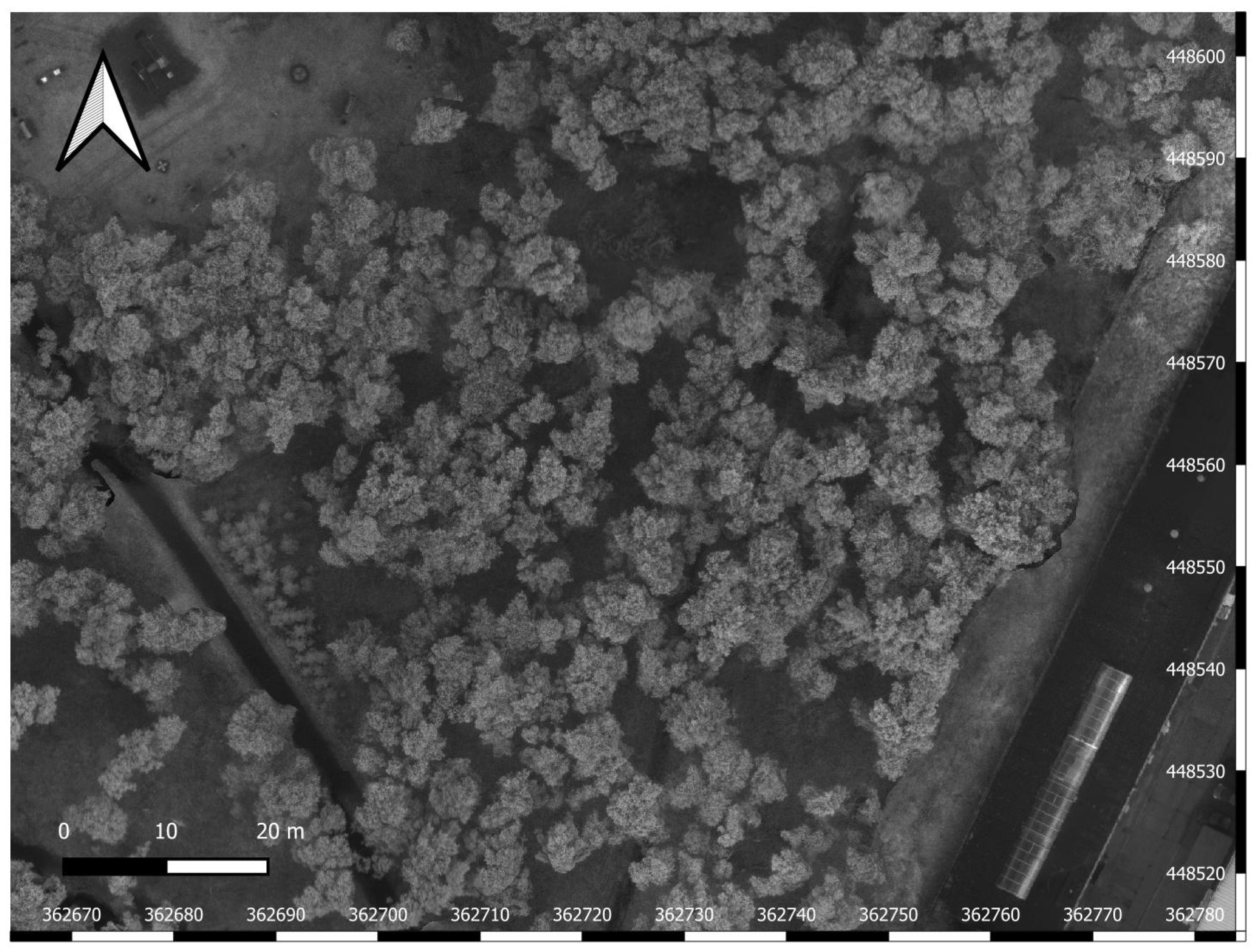 Sustainability 17 08908 g009