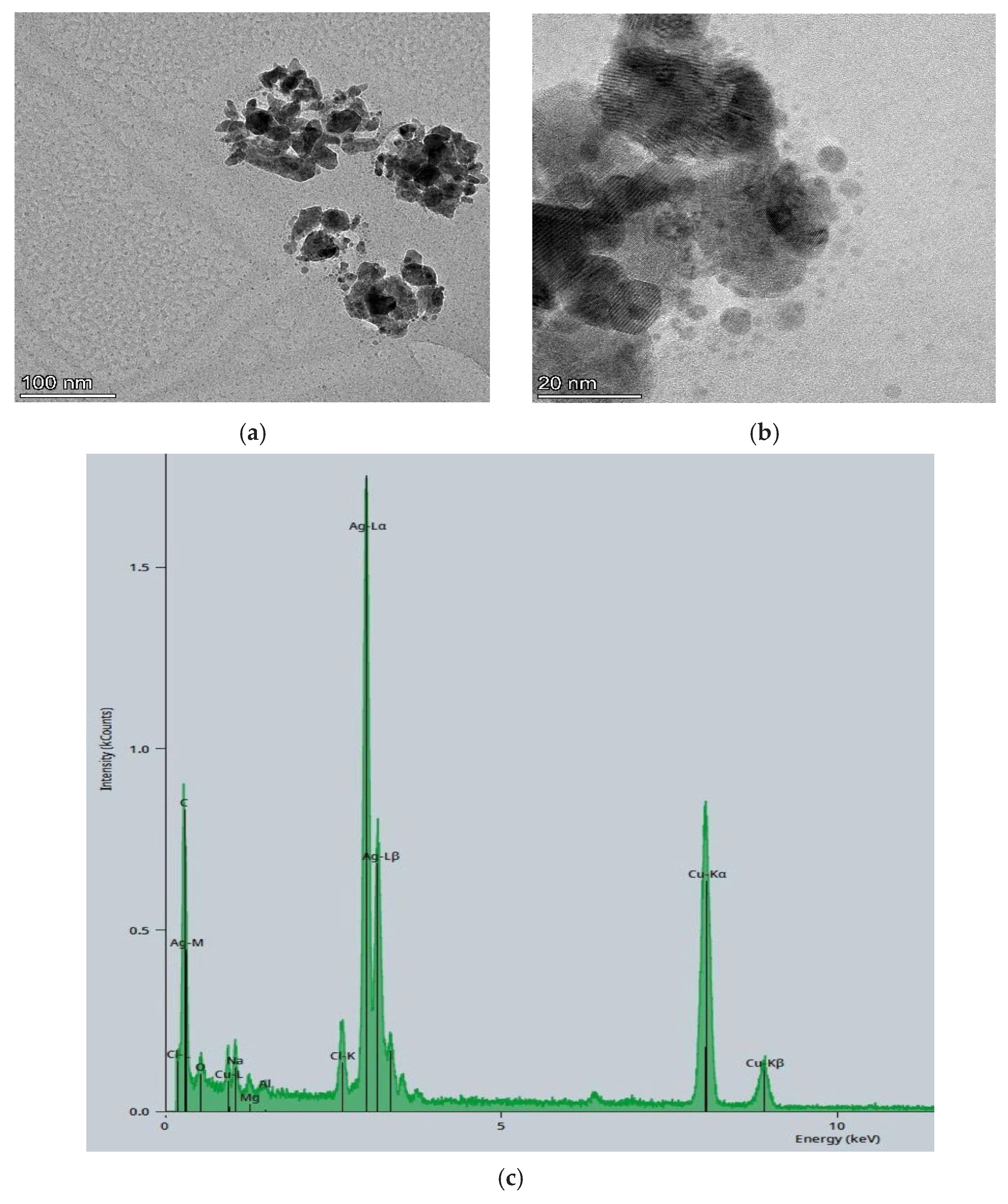 Sustainability 17 08916 g001 Sustainability 17 08916 g001