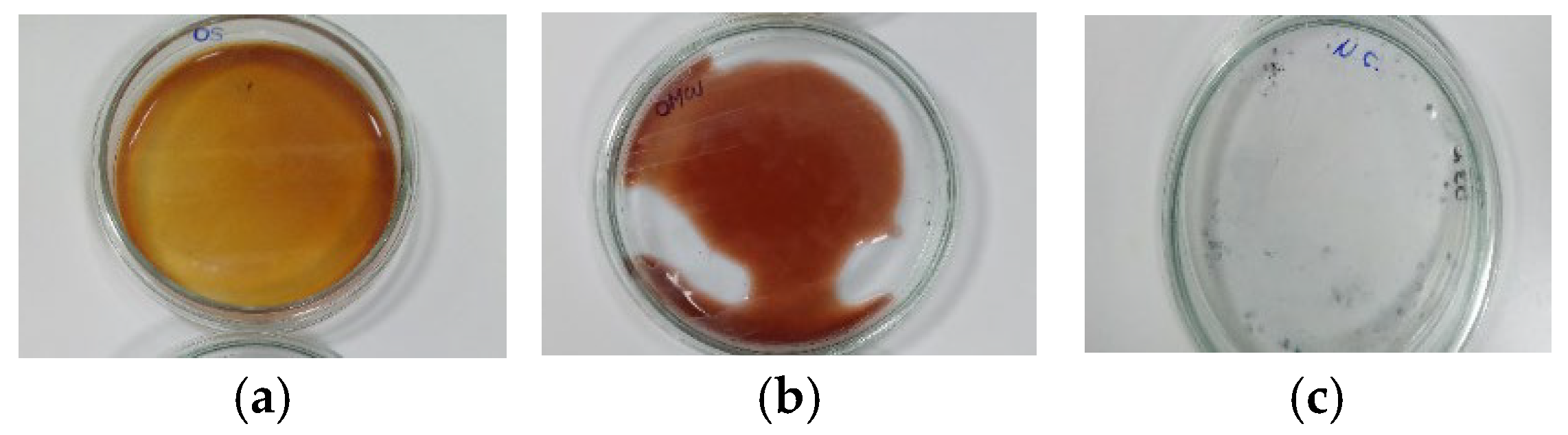 Sustainability 17 08916 g003 Sustainability 17 08916 g003