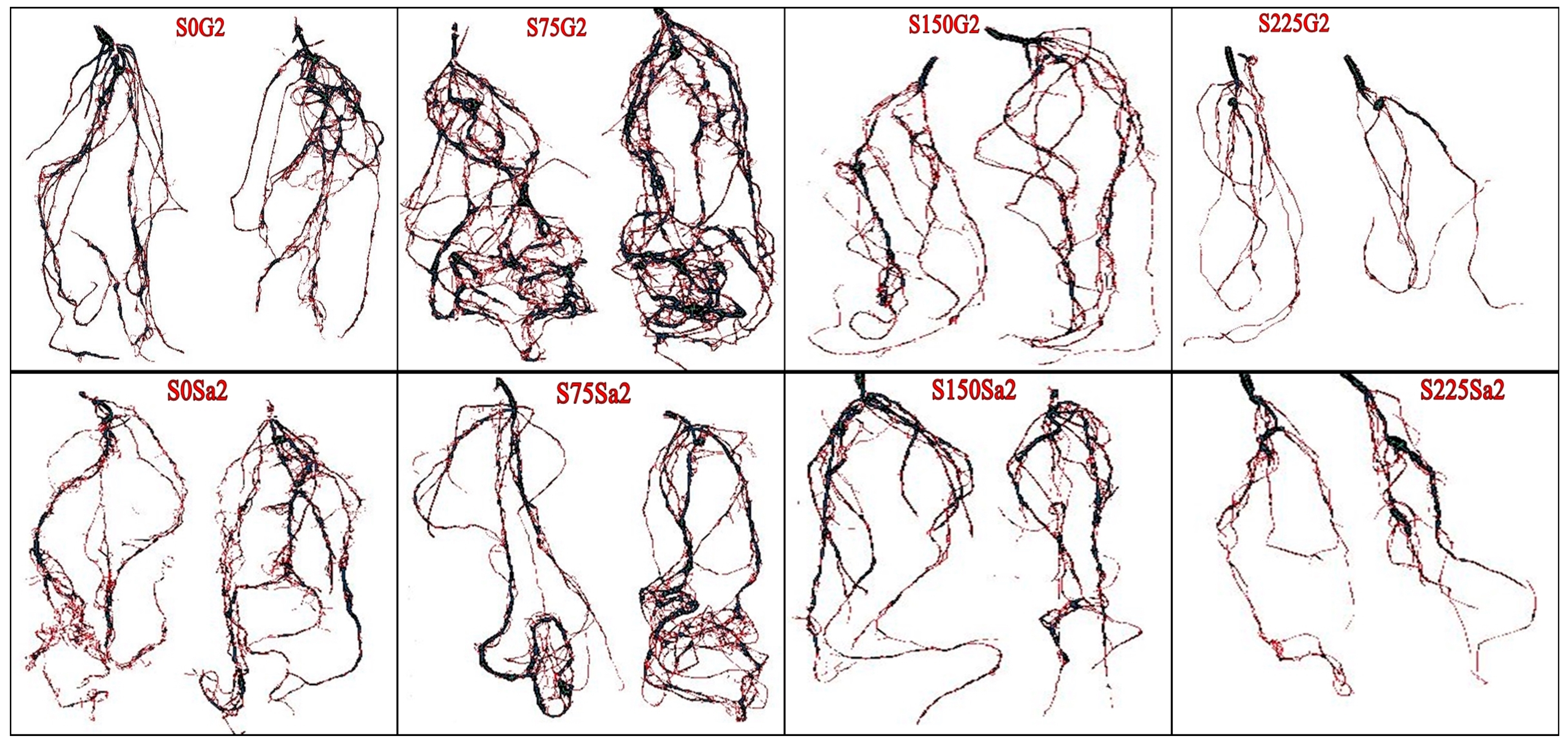 Sustainability 17 08917 g002 Sustainability 17 08917 g002