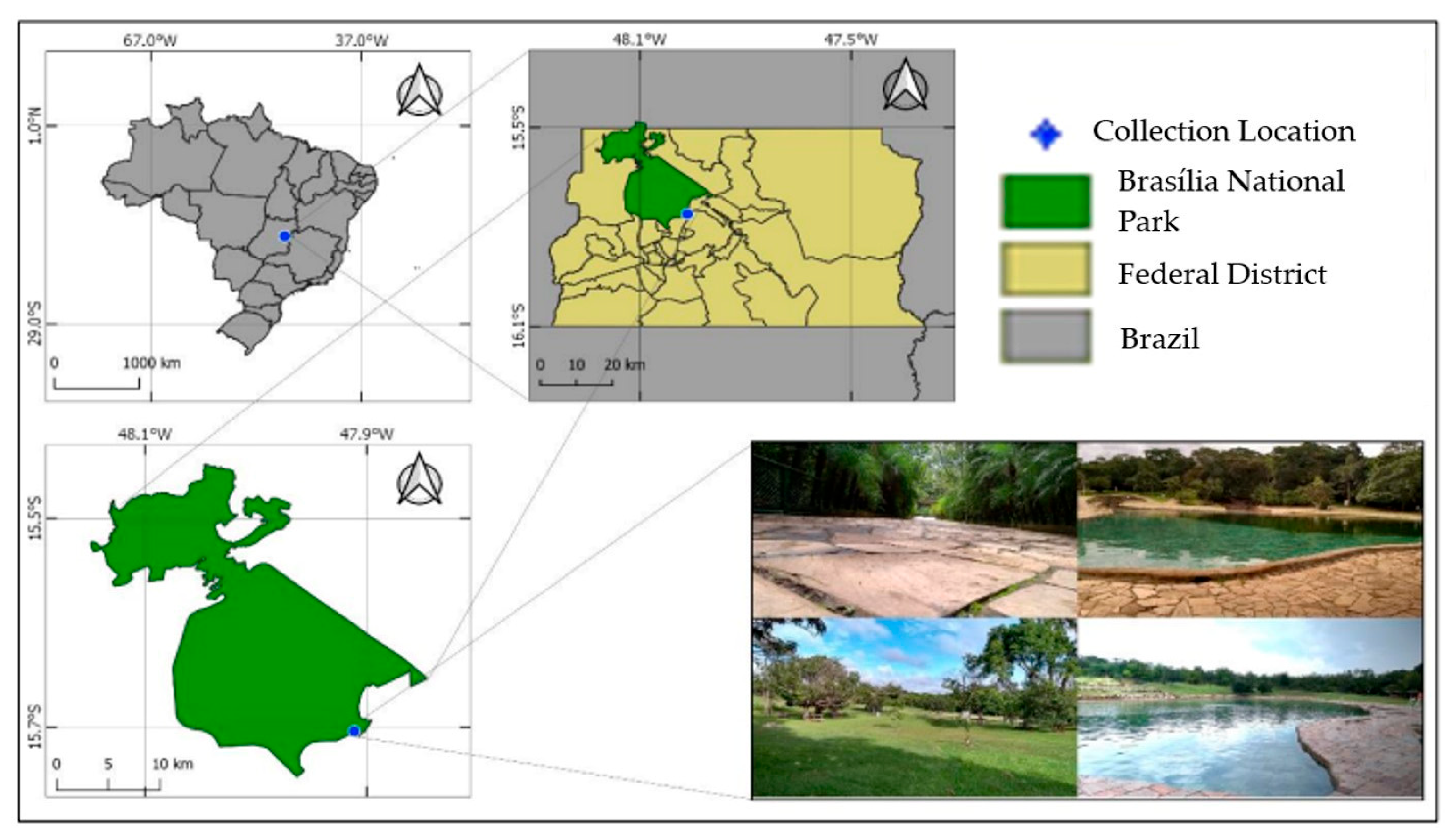 Sustainability 17 08932 g001 Sustainability 17 08932 g001