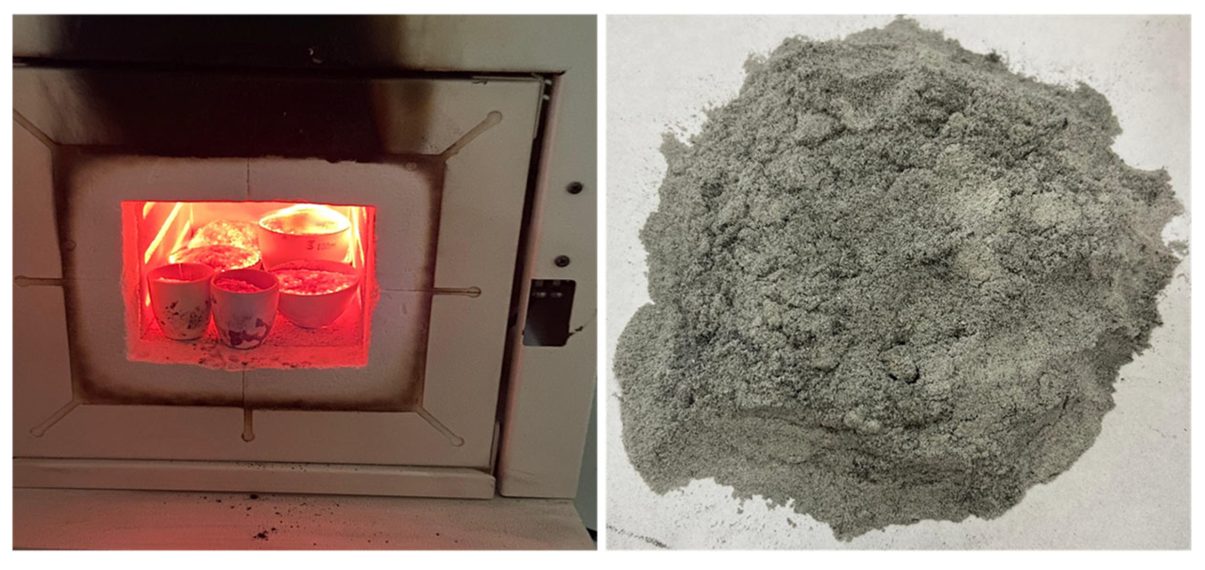 Sustainability 17 08960 g004