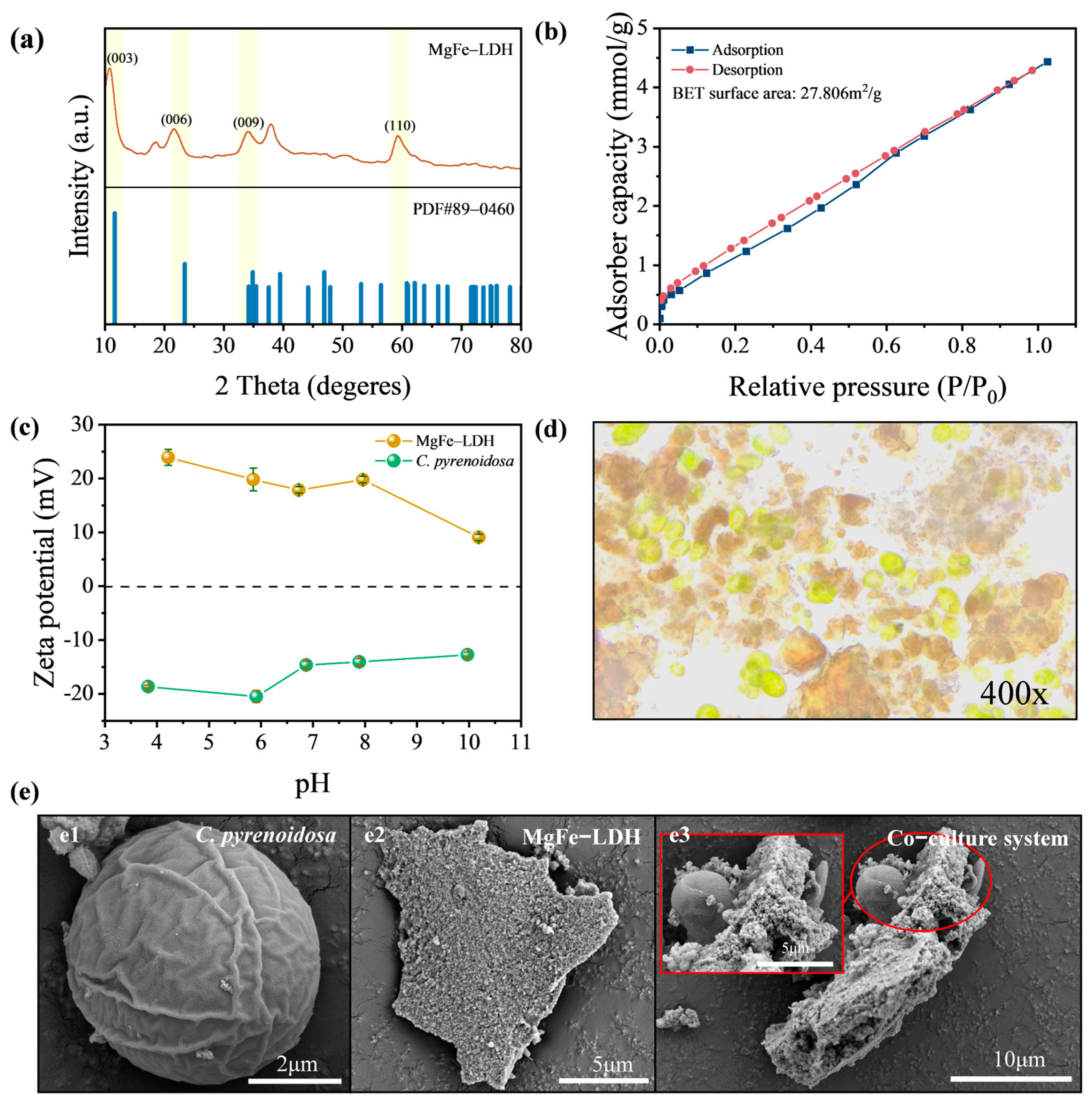 Sustainability 17 08970 g001 Sustainability 17 08970 g001