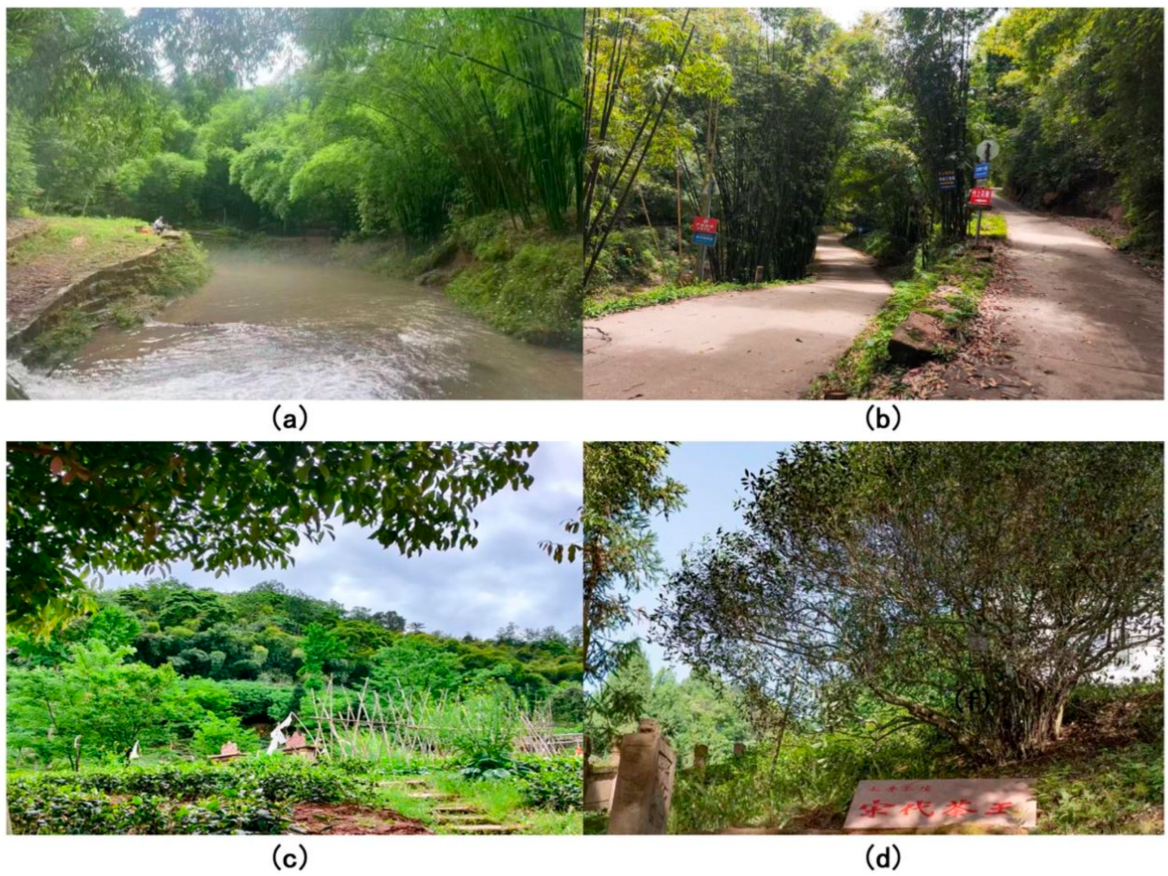 Sustainability 17 08981 g008