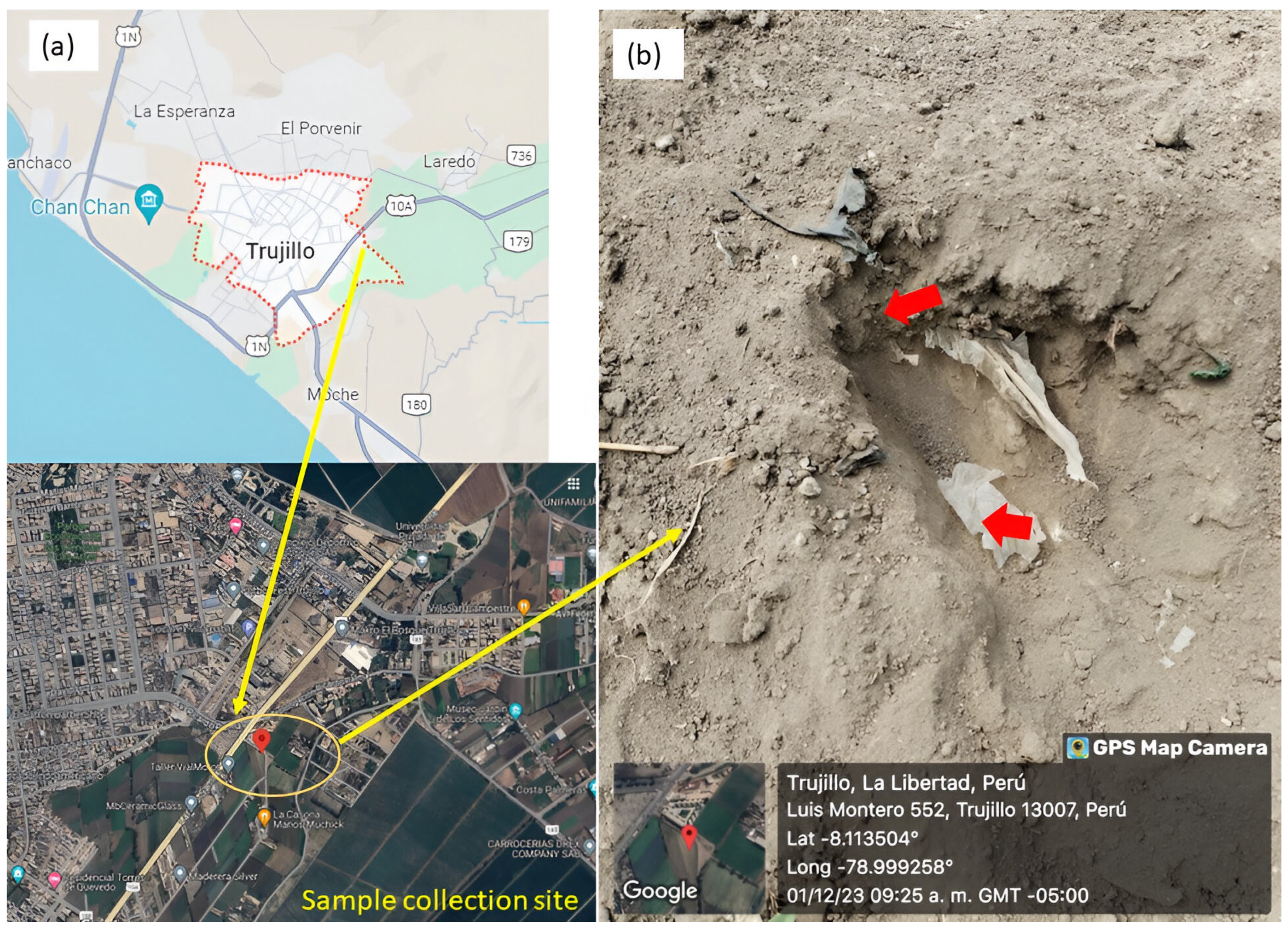 Sustainability 17 08983 g001