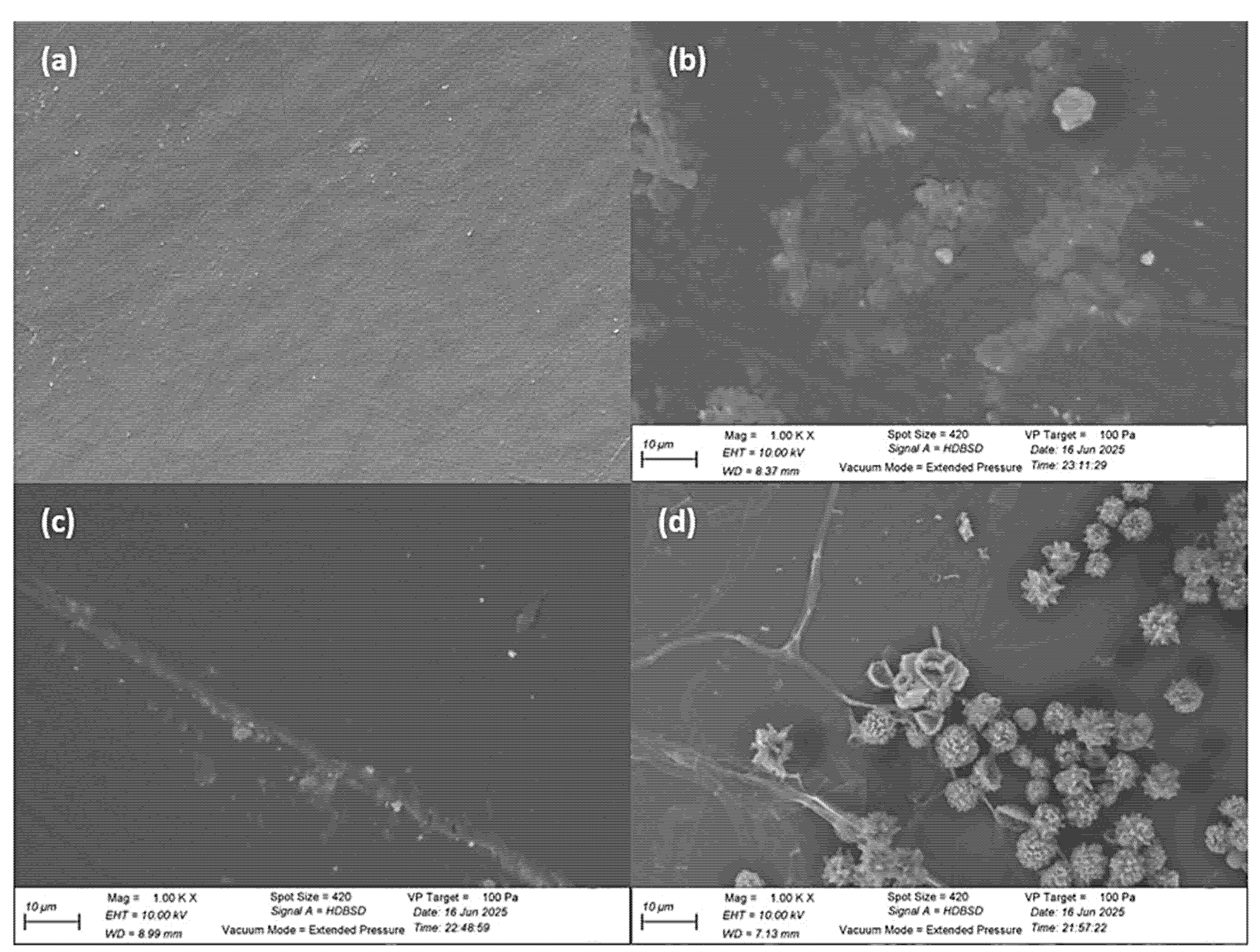 Sustainability 17 08983 g007