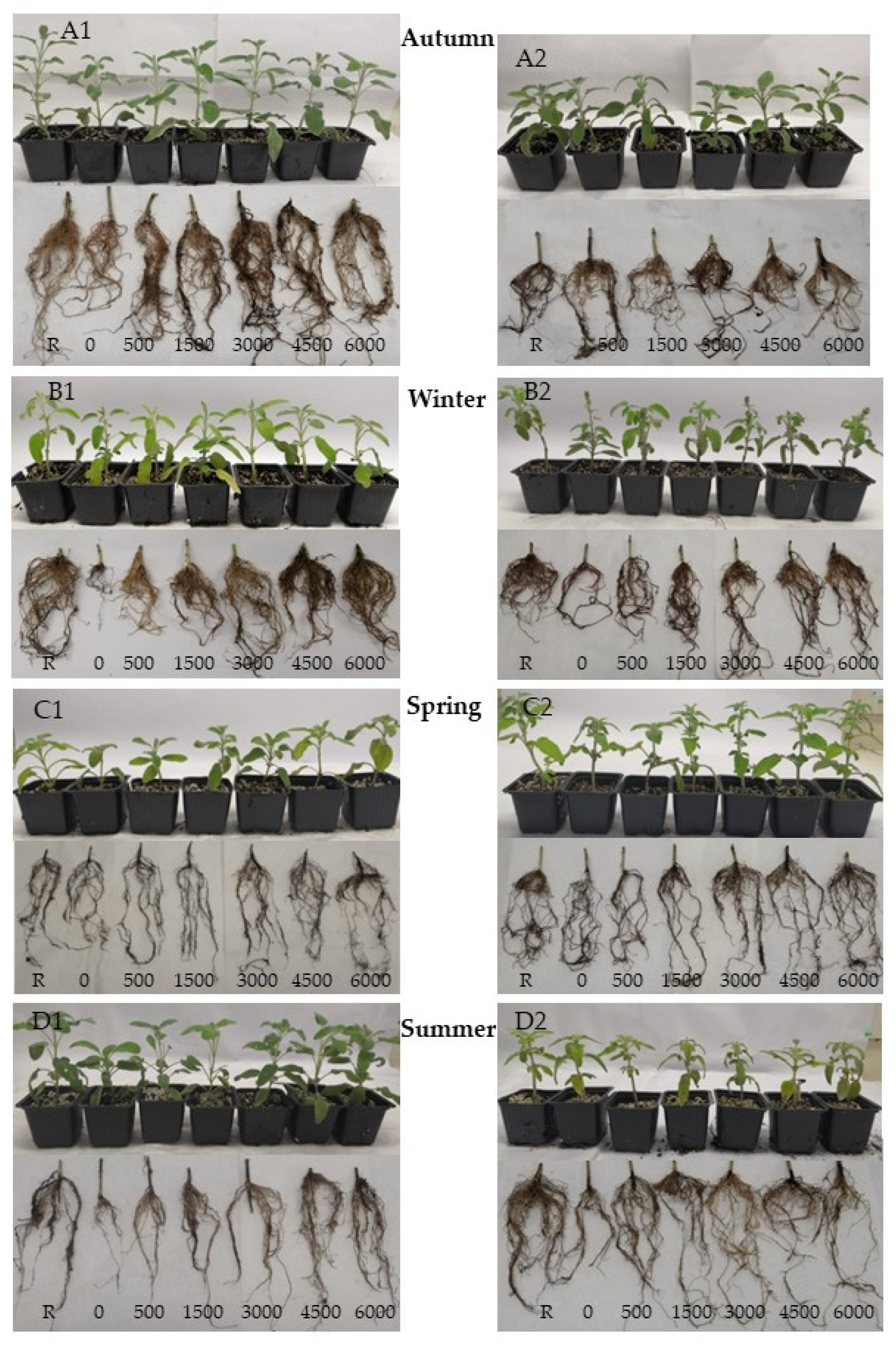 Sustainability 17 08999 g005
