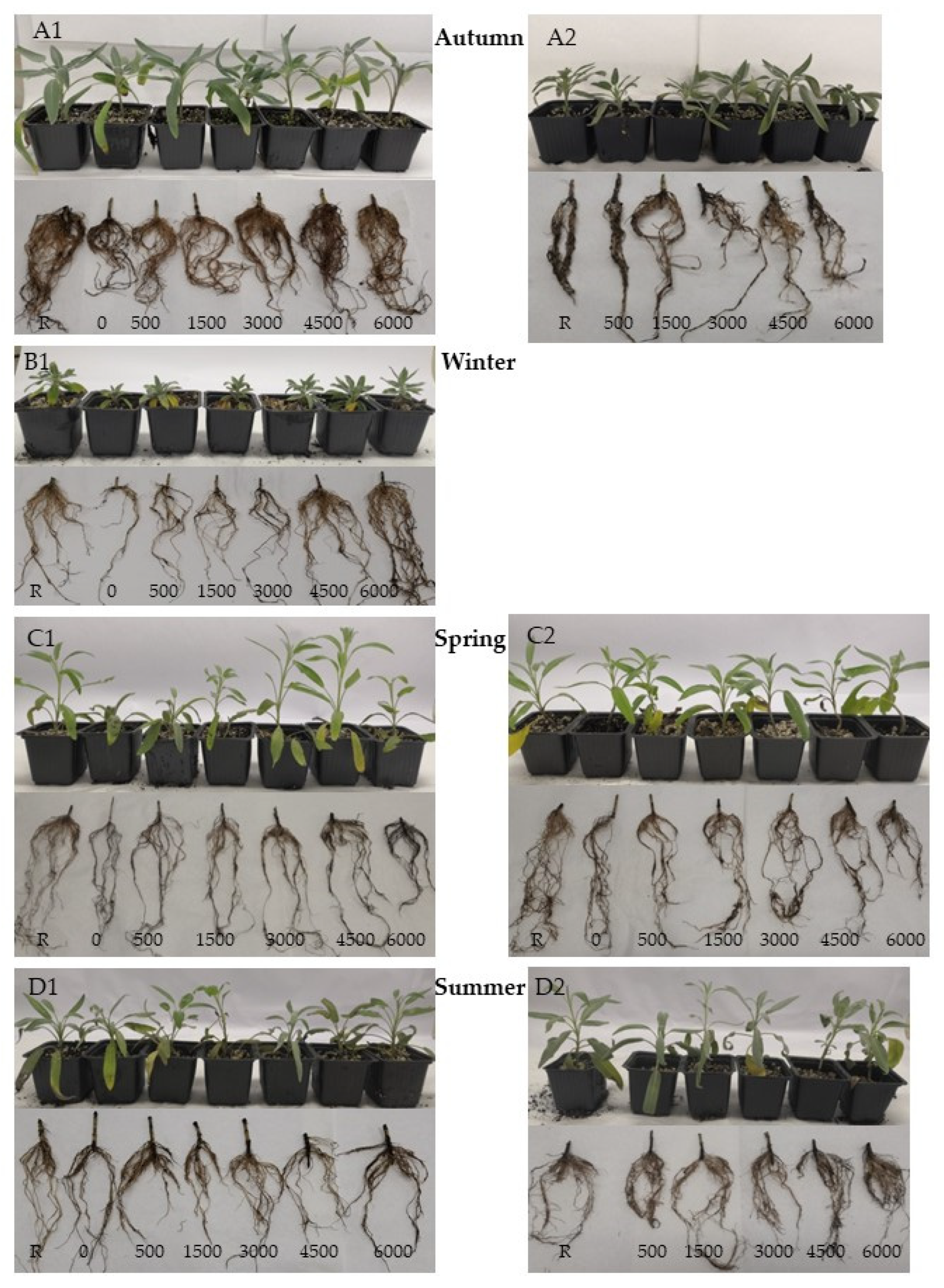 Sustainability 17 08999 g007