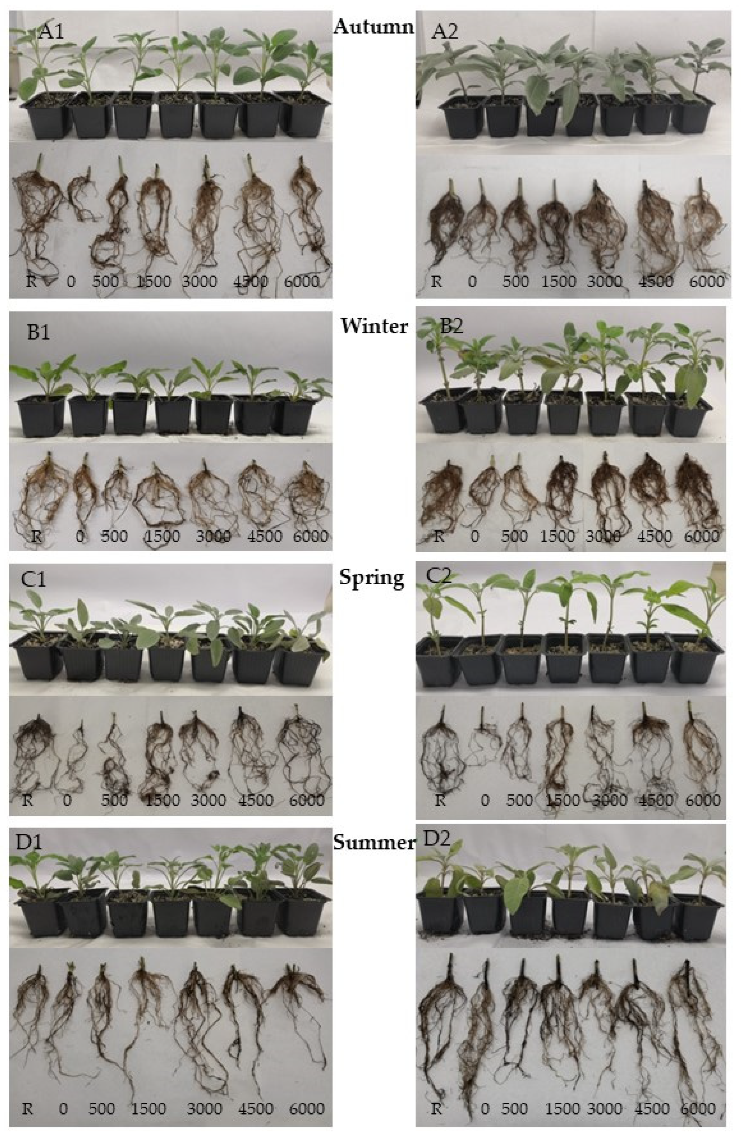 Sustainability 17 08999 g009