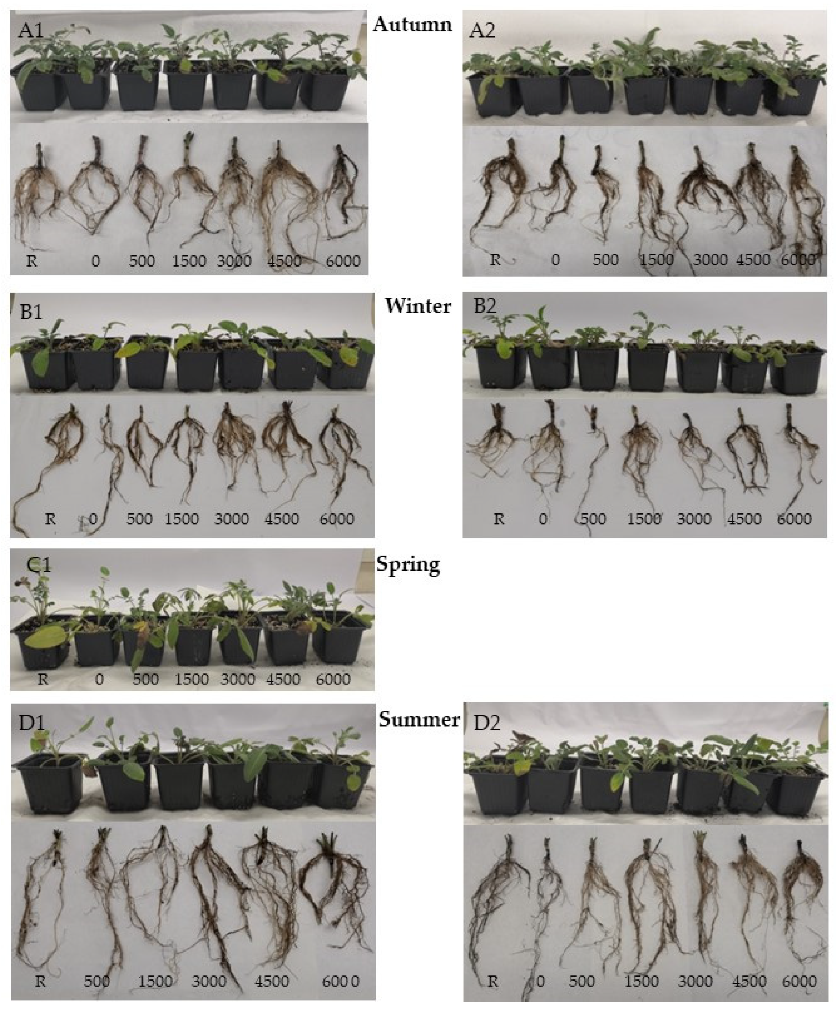Sustainability 17 08999 g011