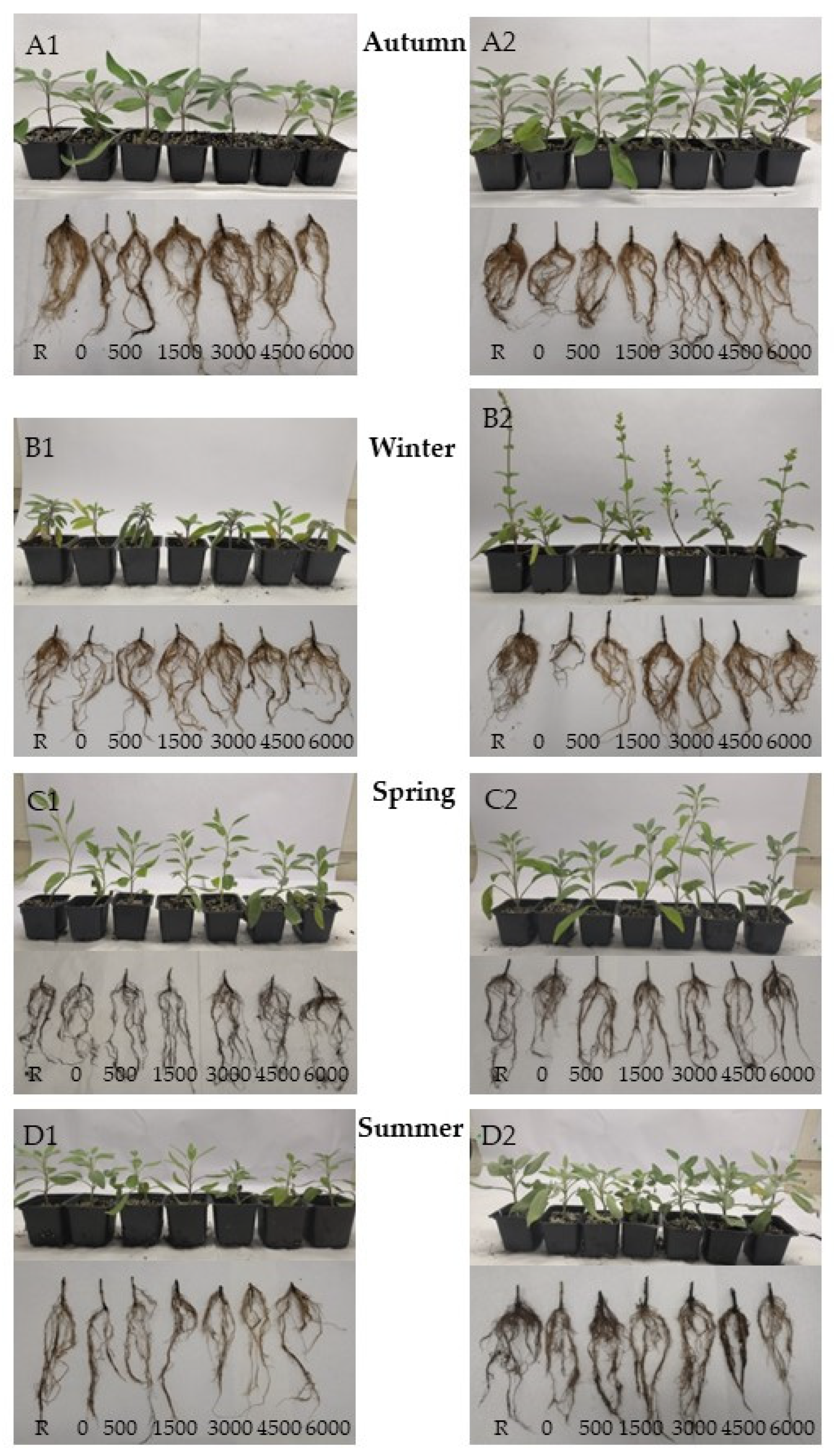 Sustainability 17 08999 g013
