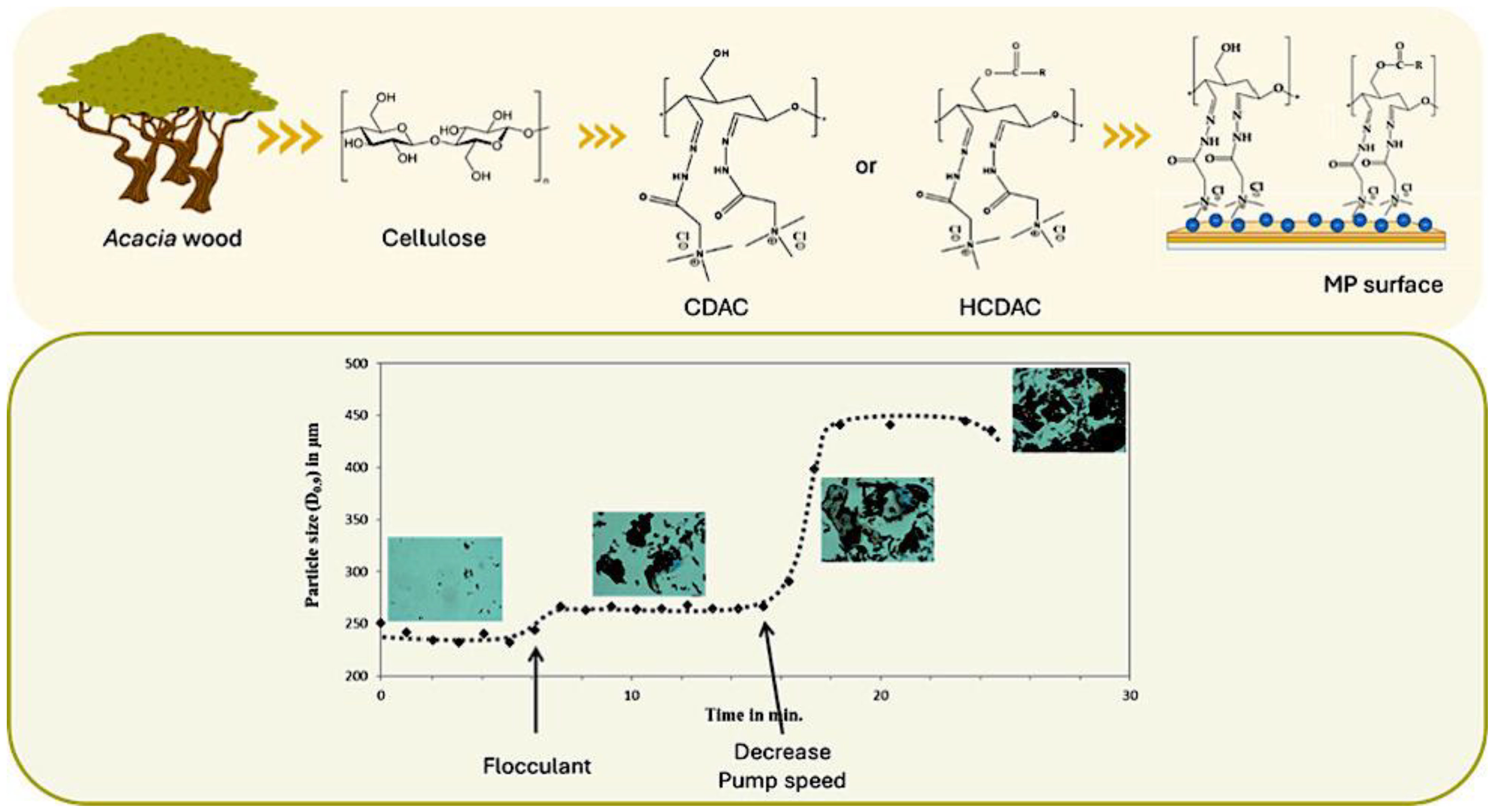 Sustainability 17 09014 g005